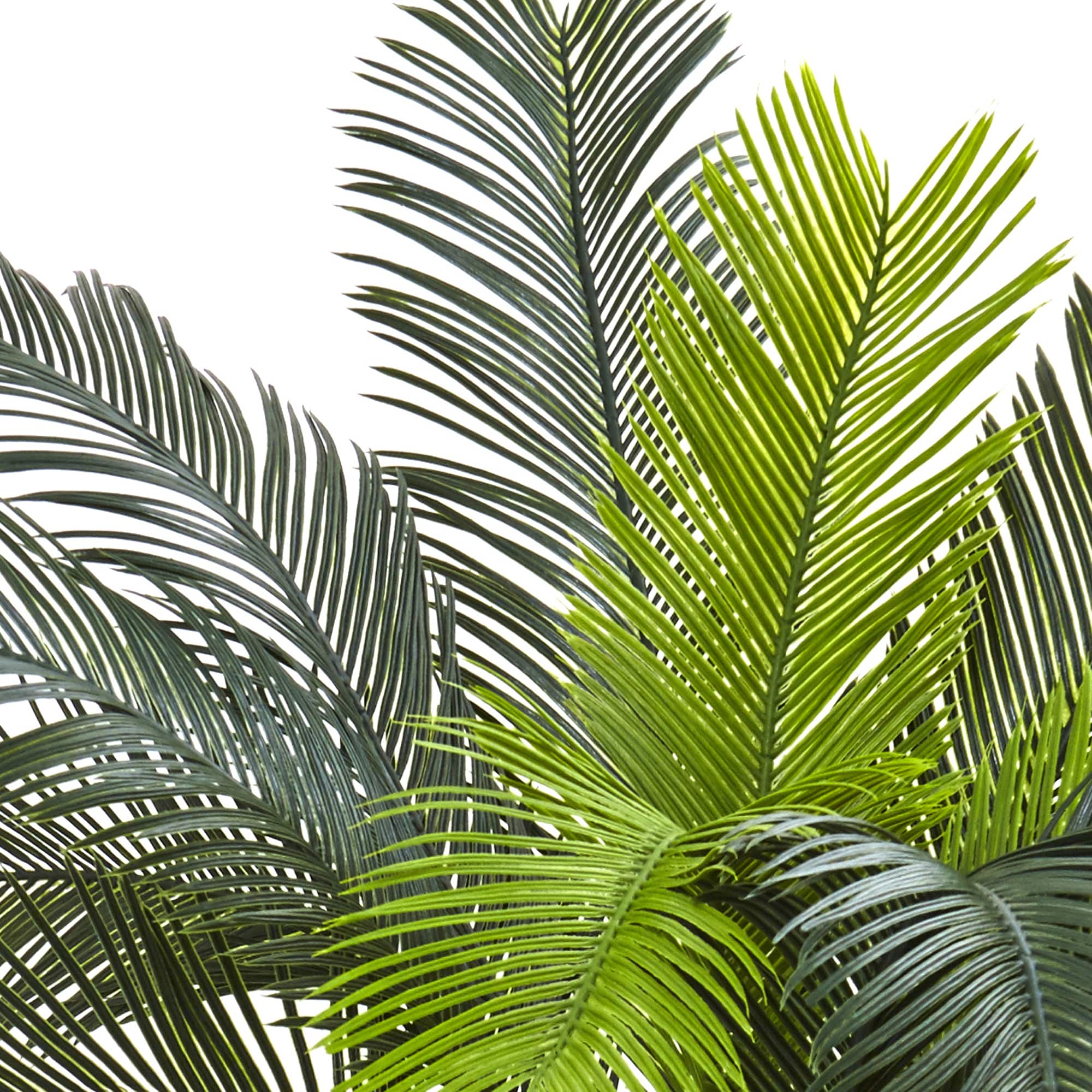 3ft. Potted UV Resistant Cycas Tree