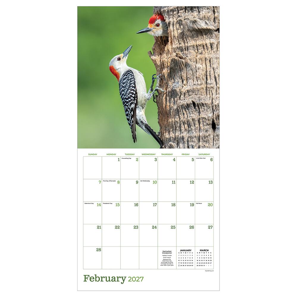 2027 Backyard Birds Wall Calendar