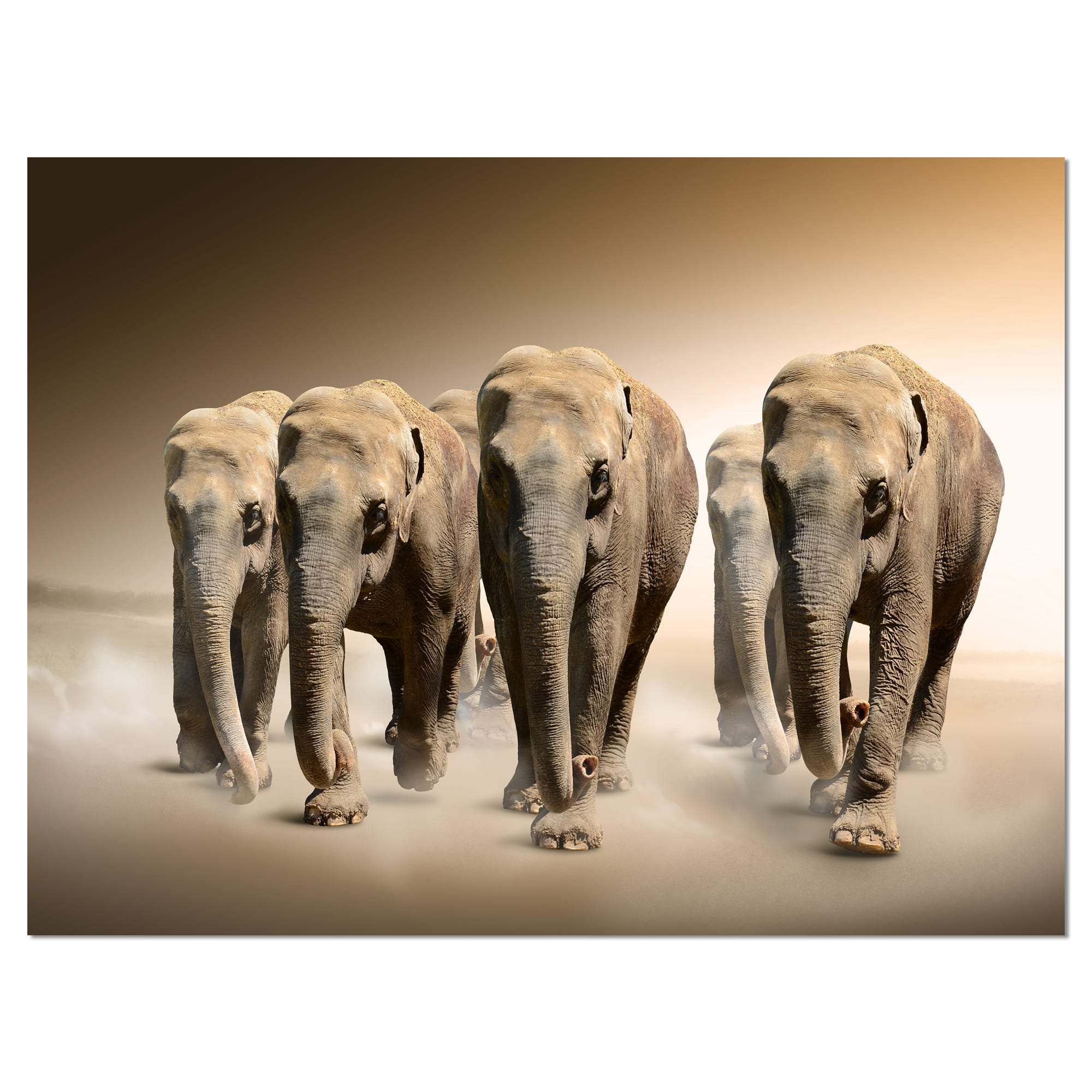 Designart - Walking Herd of Elephants - Animal Canvas Wall Art