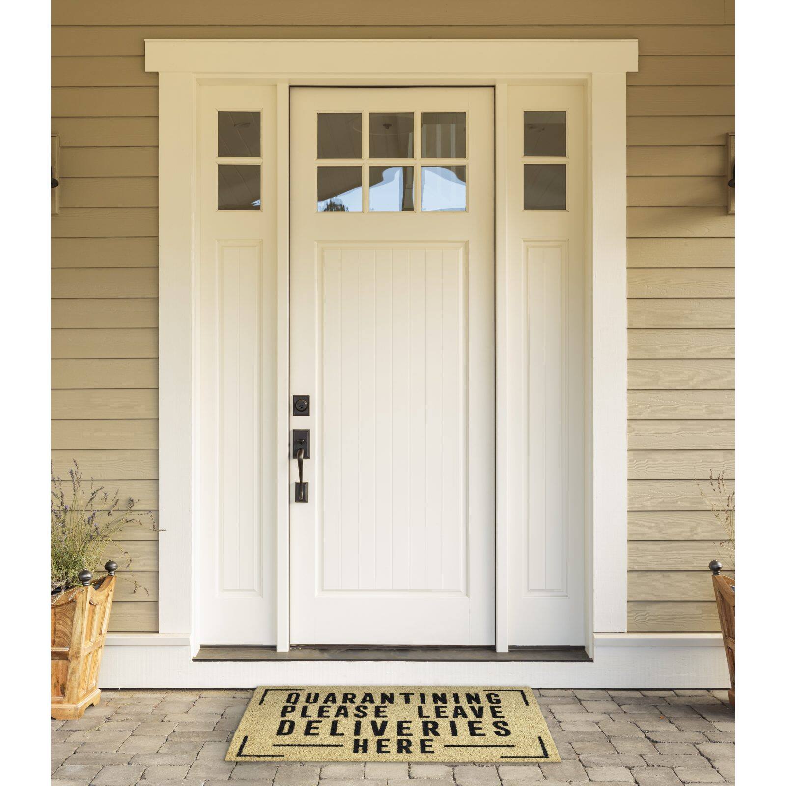DII® Quarantining Deliveries Here Doormat