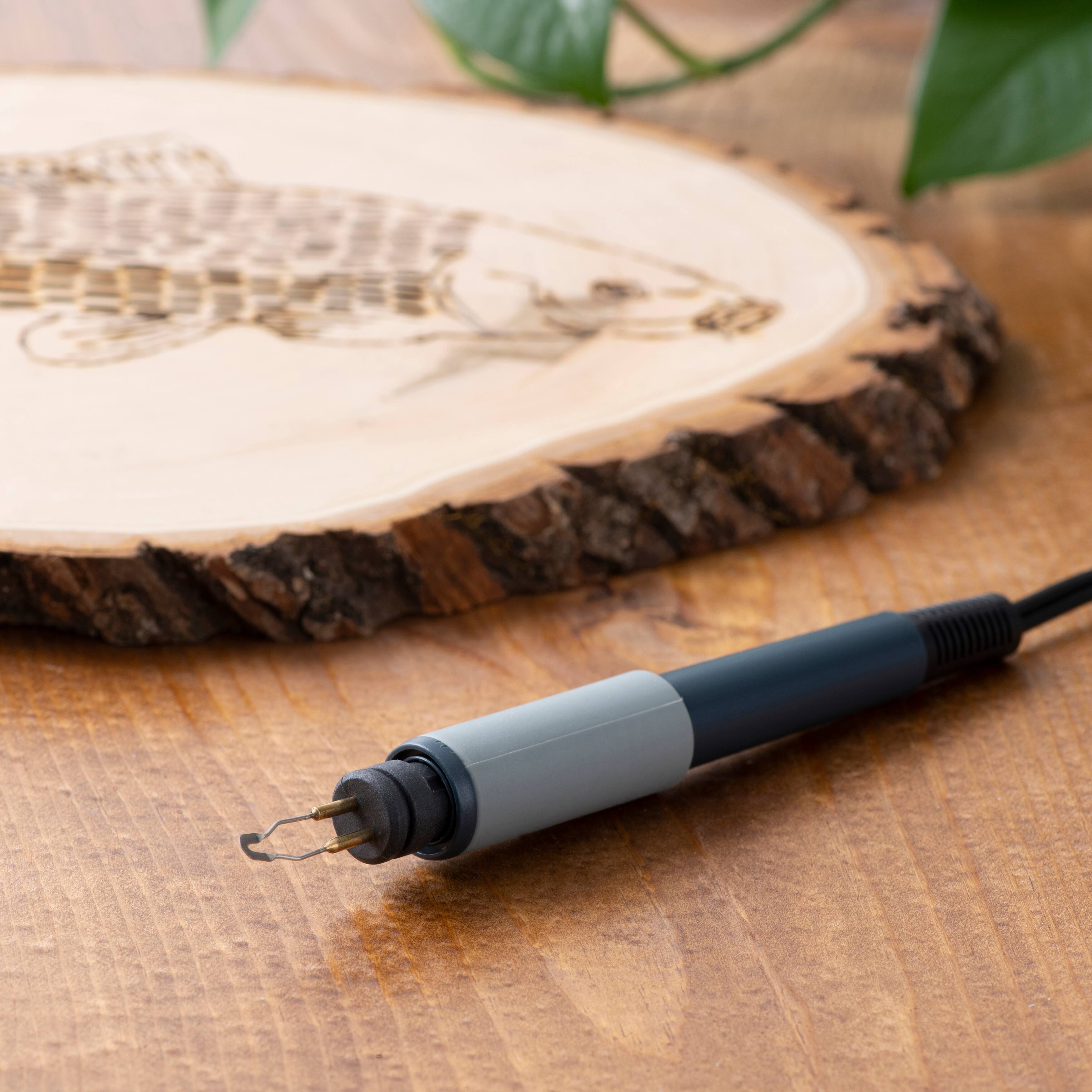 Walnut Hollow® Wood Burning Spoon Shading Point 1