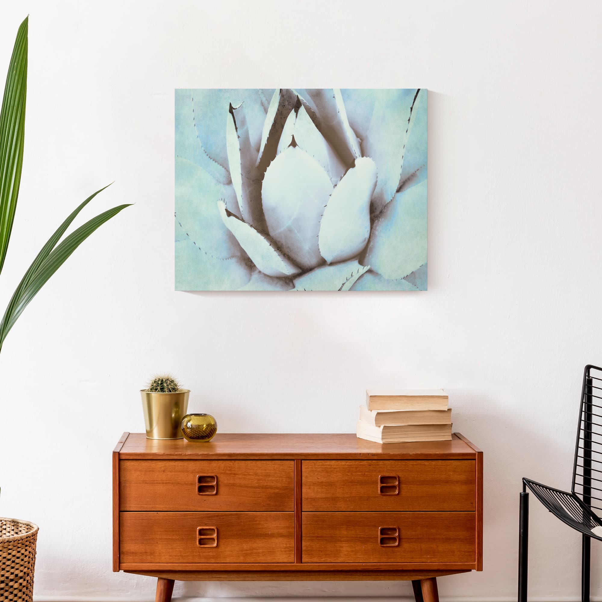 Green Succulent 20" x 16" Canvas Wall Art