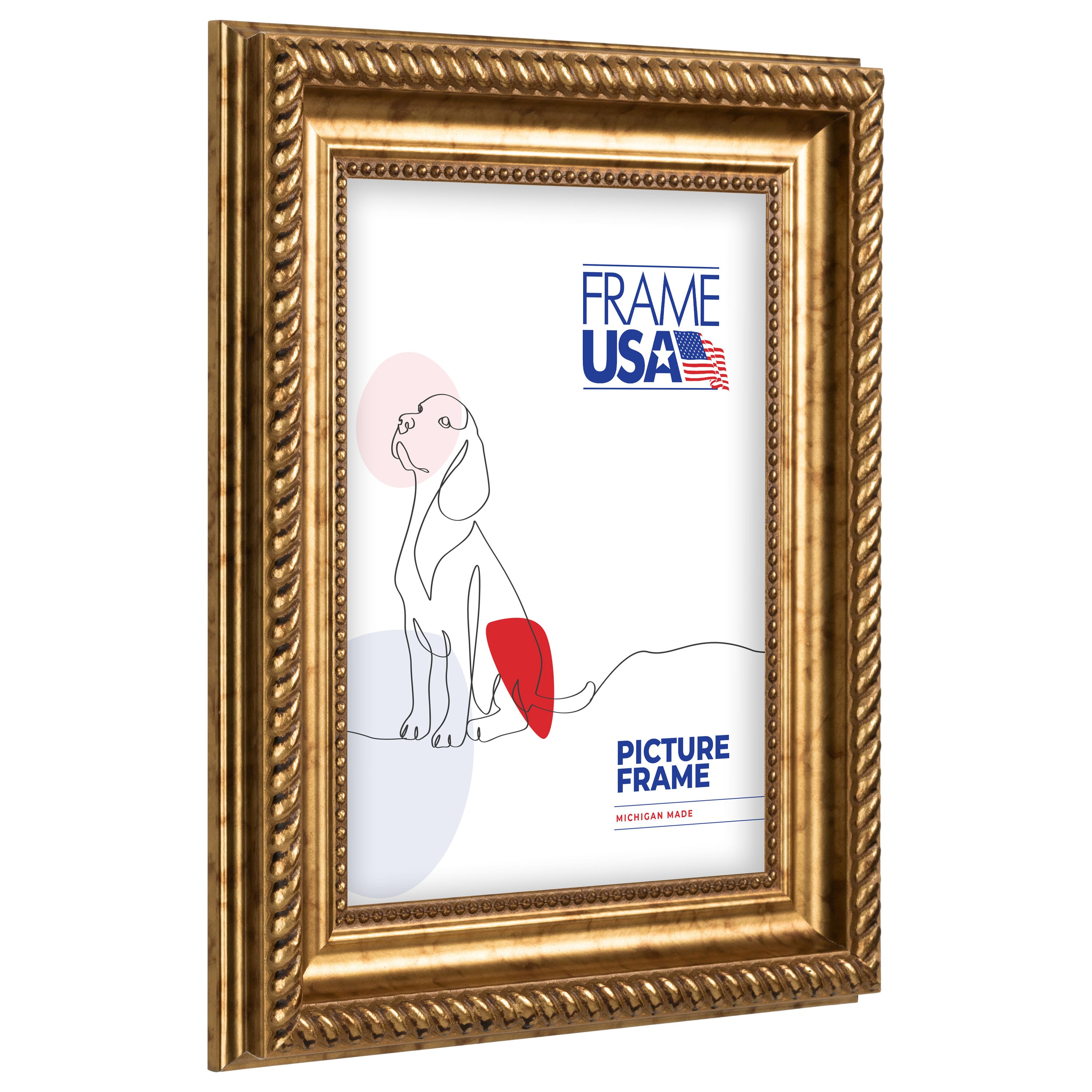 Frame USA Napolean Gold Single Image Picture Frame