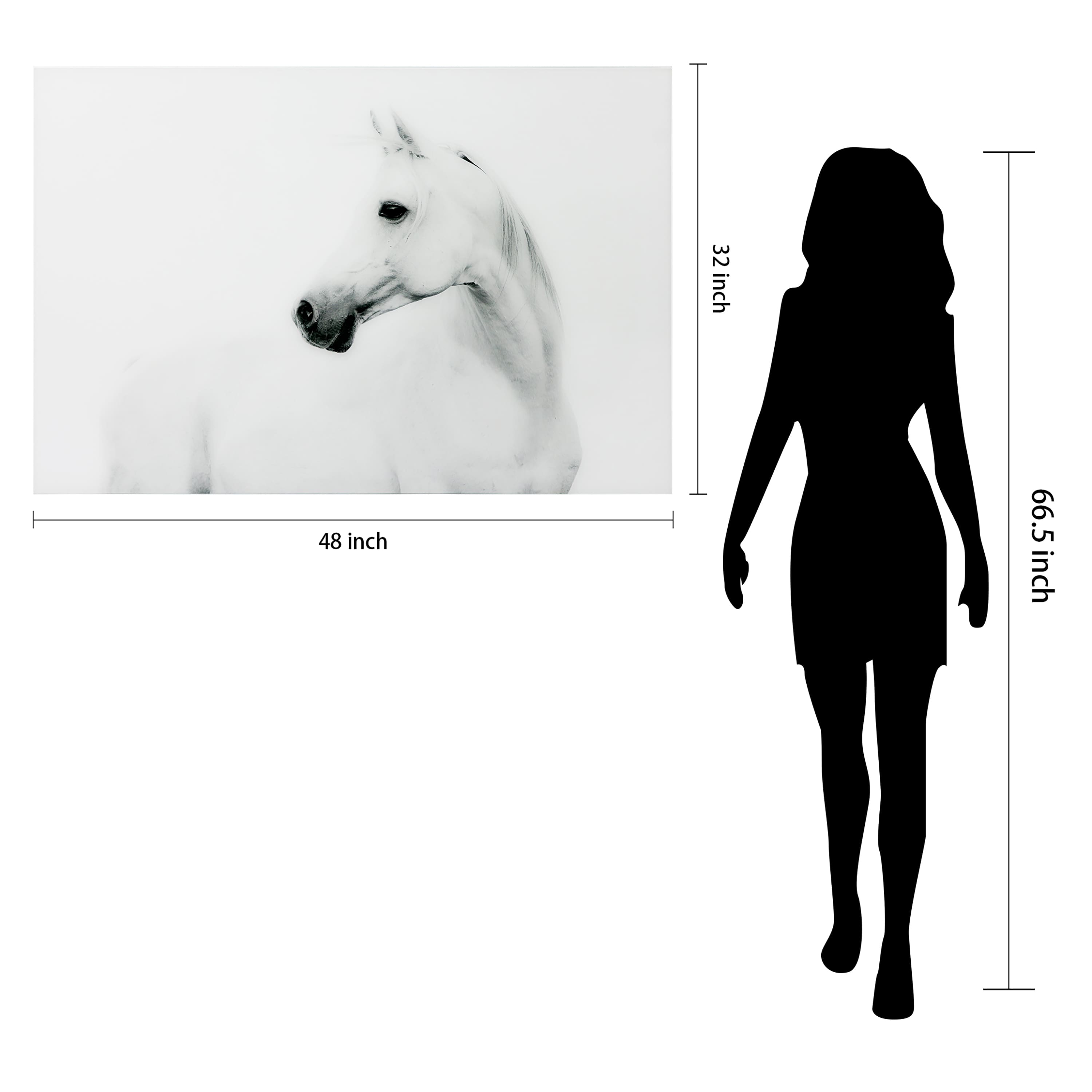 Empire Art Direct 48" x 32" Blanco Stallion Horse Frameless Printed Tempered Glass Wall Art