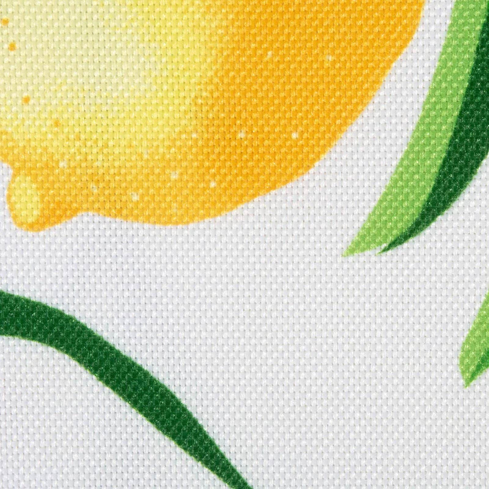 DII® Lemon Bliss Print Outdoor Placemat Set, 6ct.