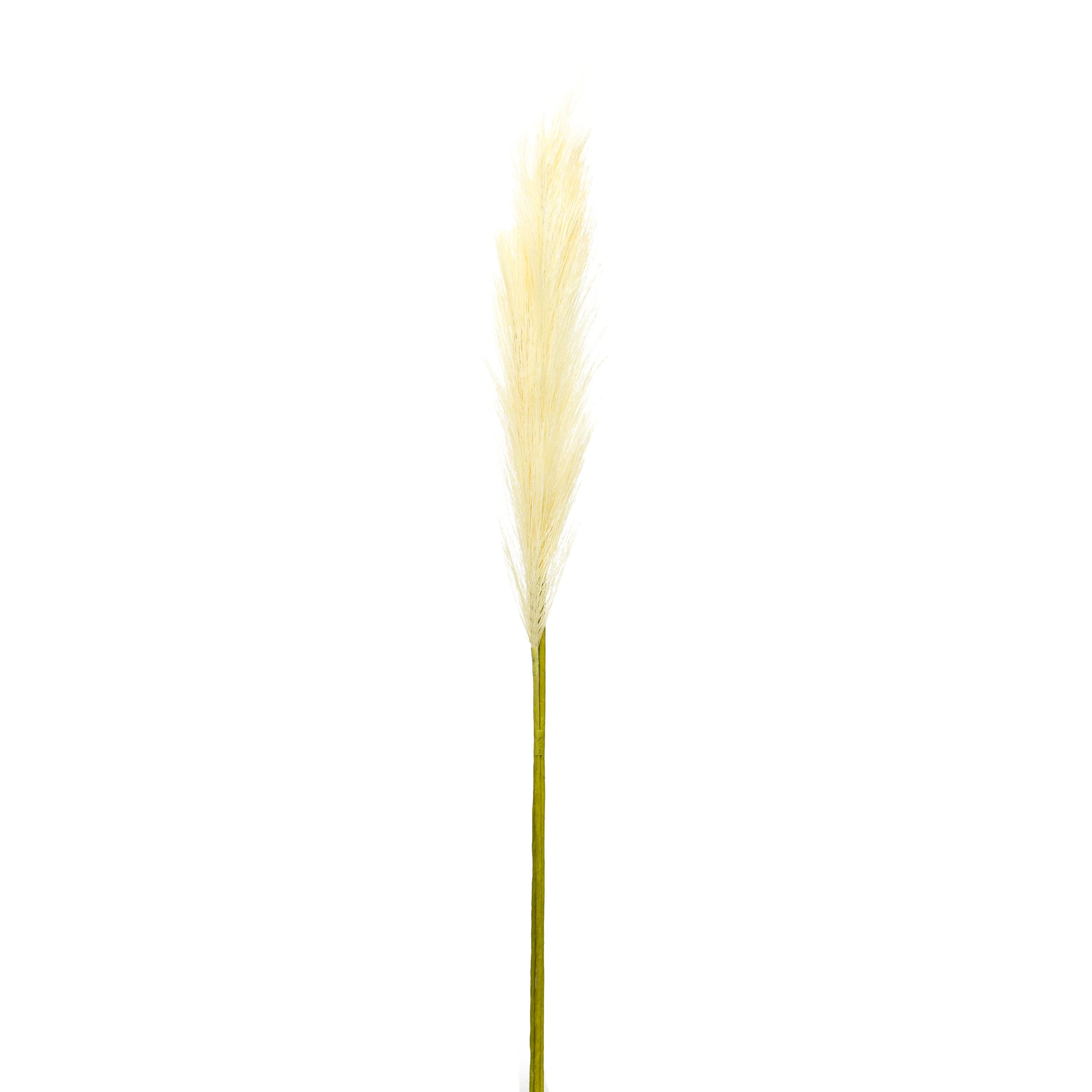 Cream Pampas Spray, 4ct.