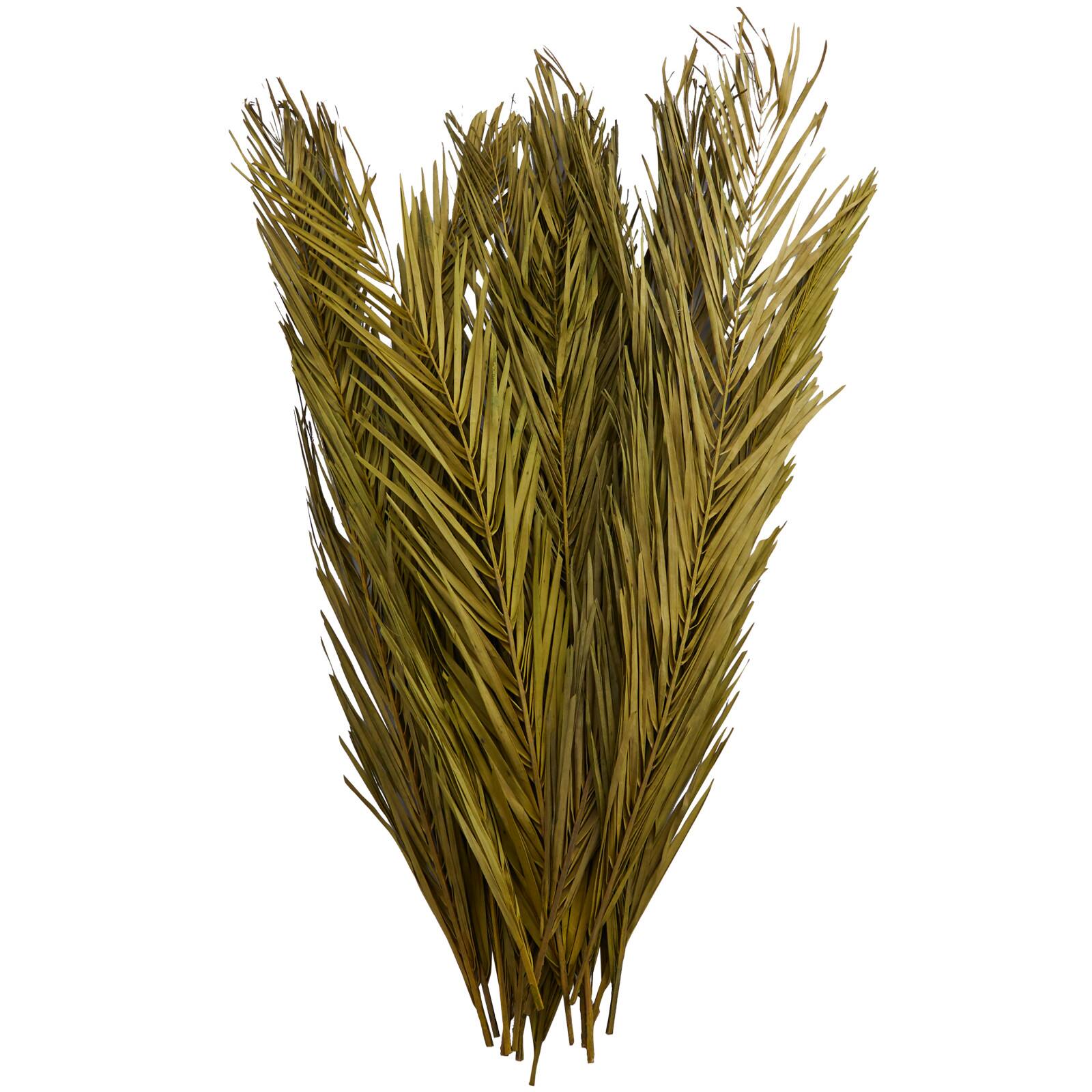 43" Natural Dried Plant Palm Leaf Bunch with Feather-Inspired Stems
