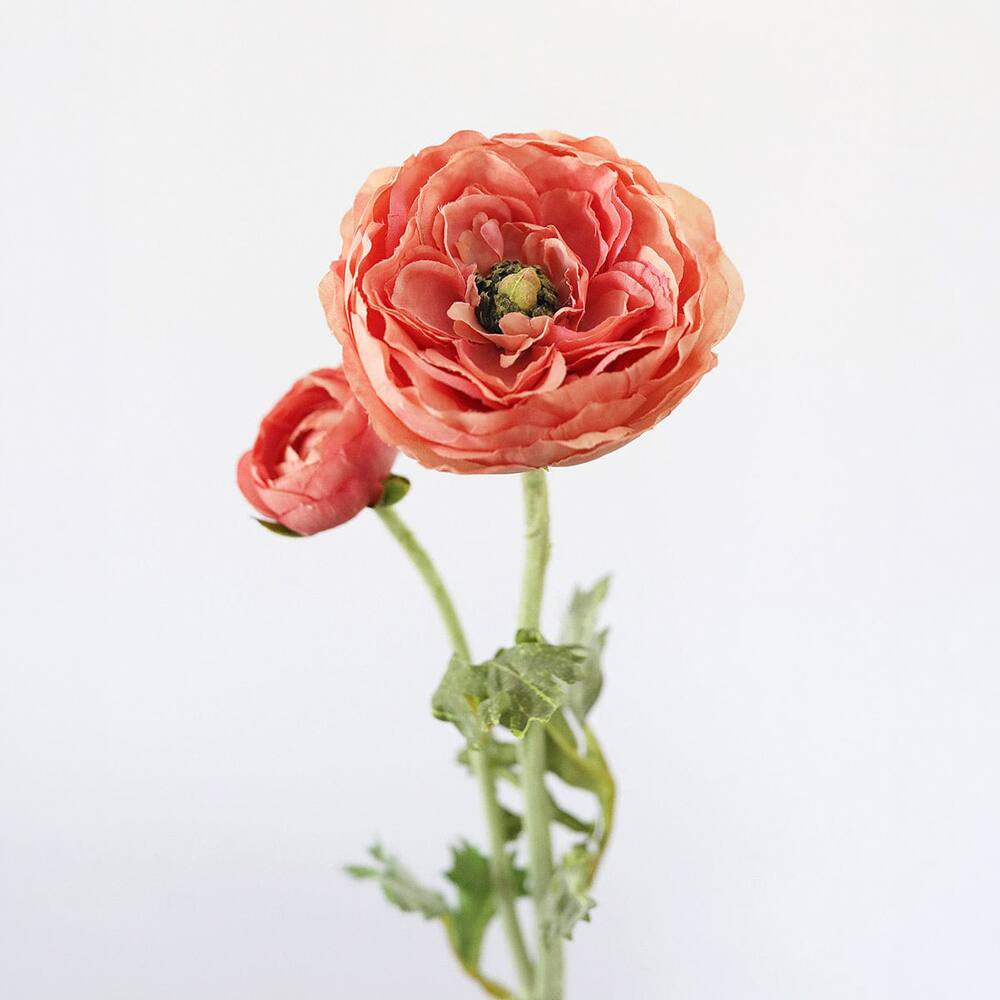 Prestige Botanicals 19.5" Artificial Salmon Pink Ranunculus Stem