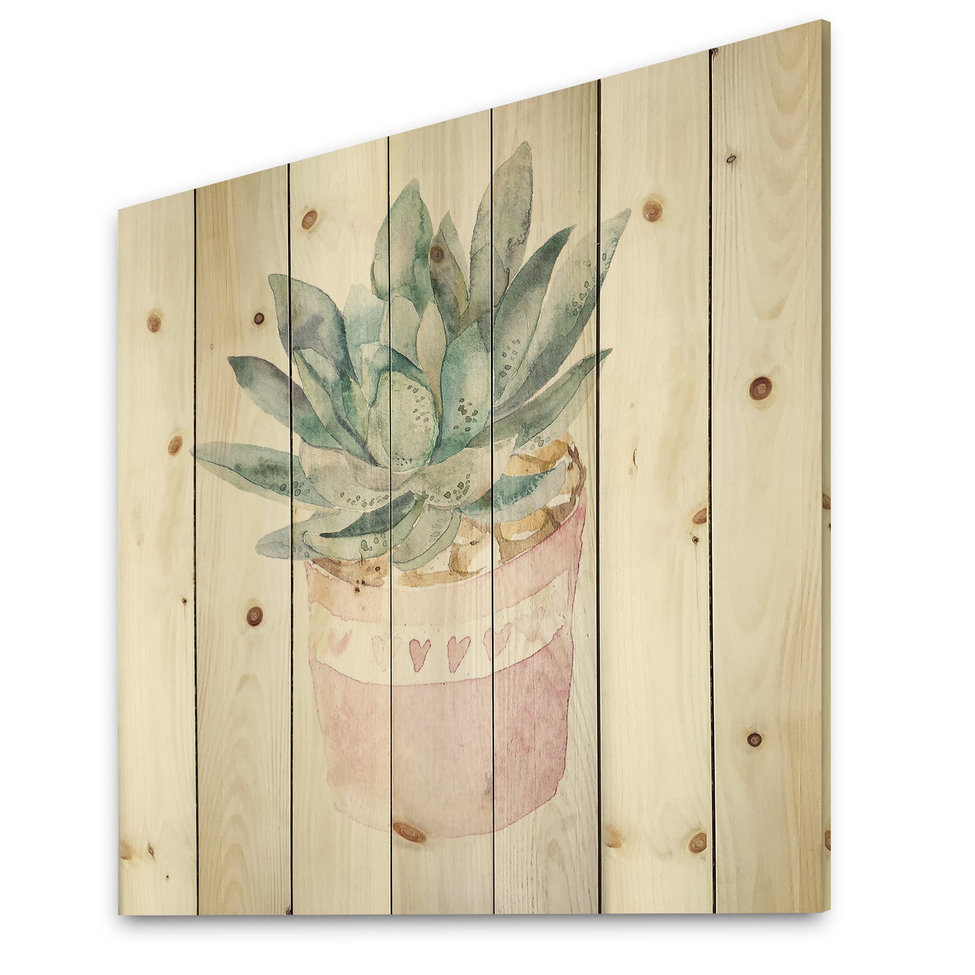 Designart - Cactus and Succulent House Plants II - Botanical Print on Natural Pine Wood