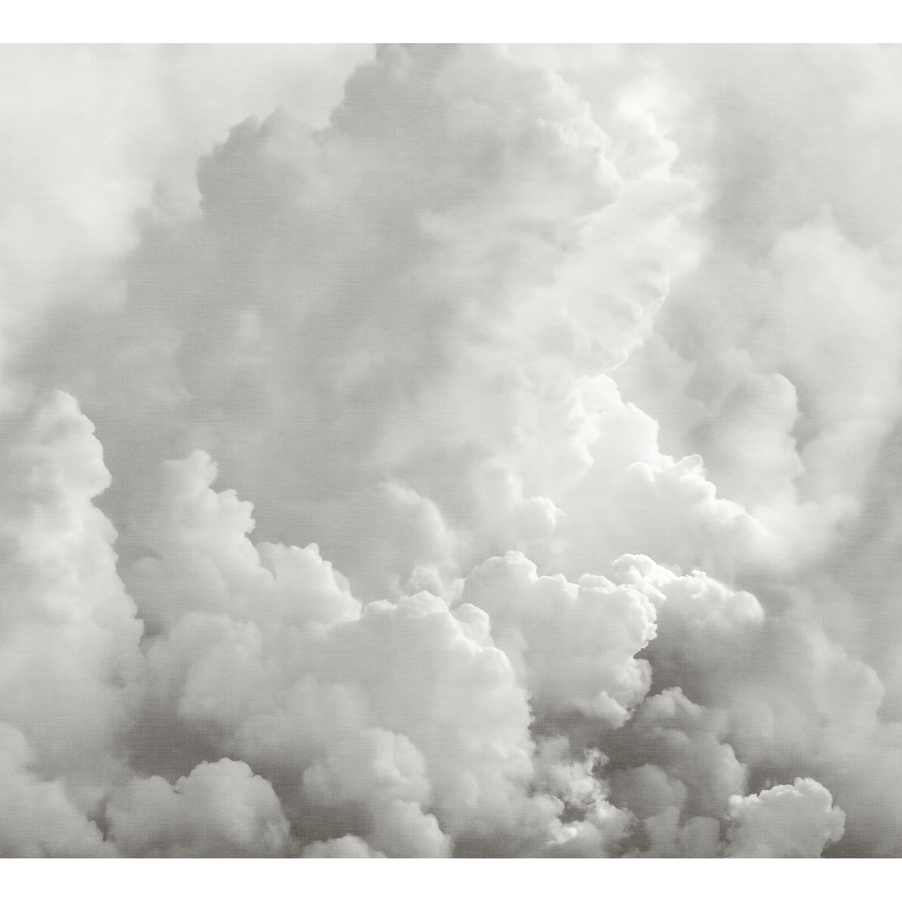 Katie Hunt Dove Gray In the Clouds Wall Mural