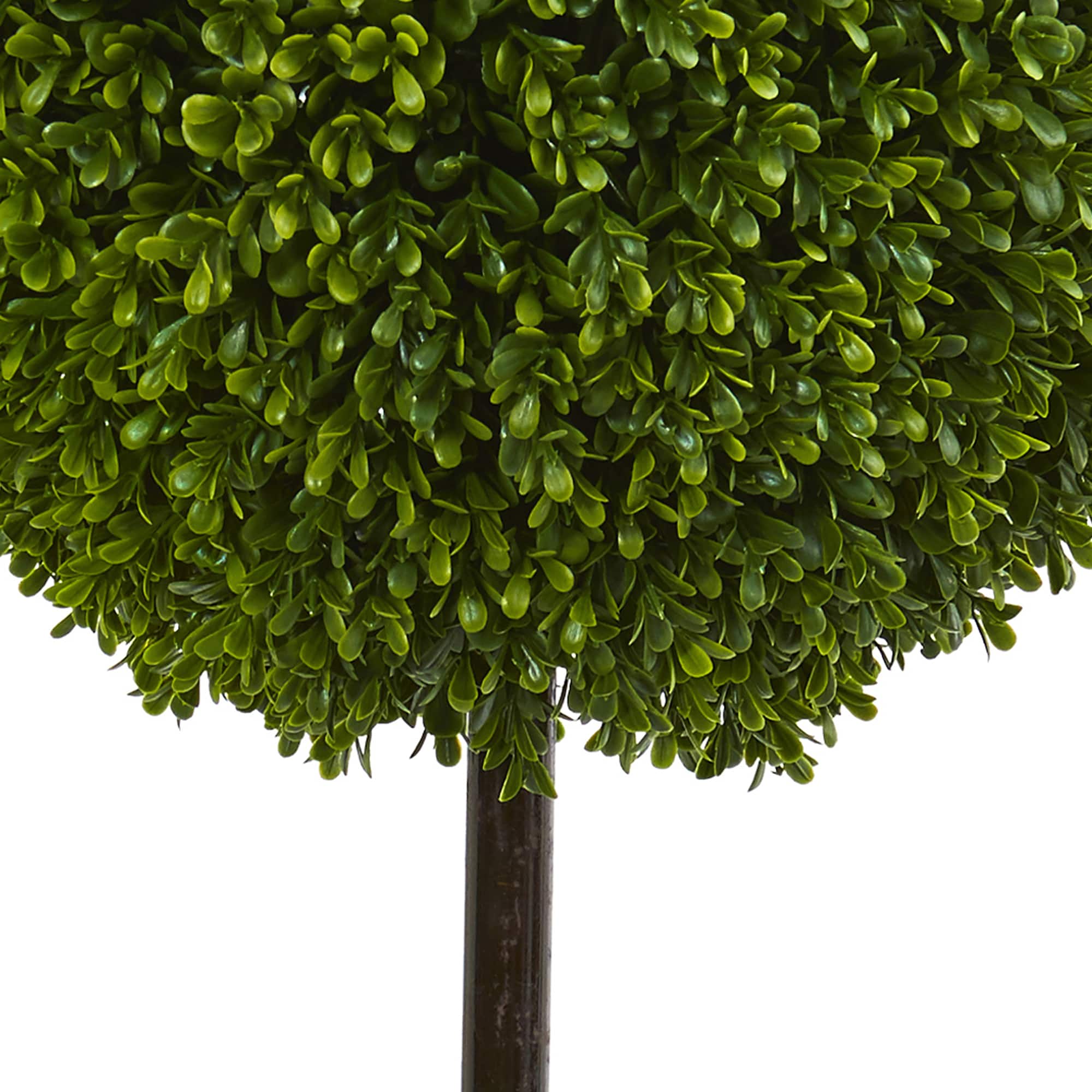 3ft. Boxwood Ball Topiary Tree in Oval Planter