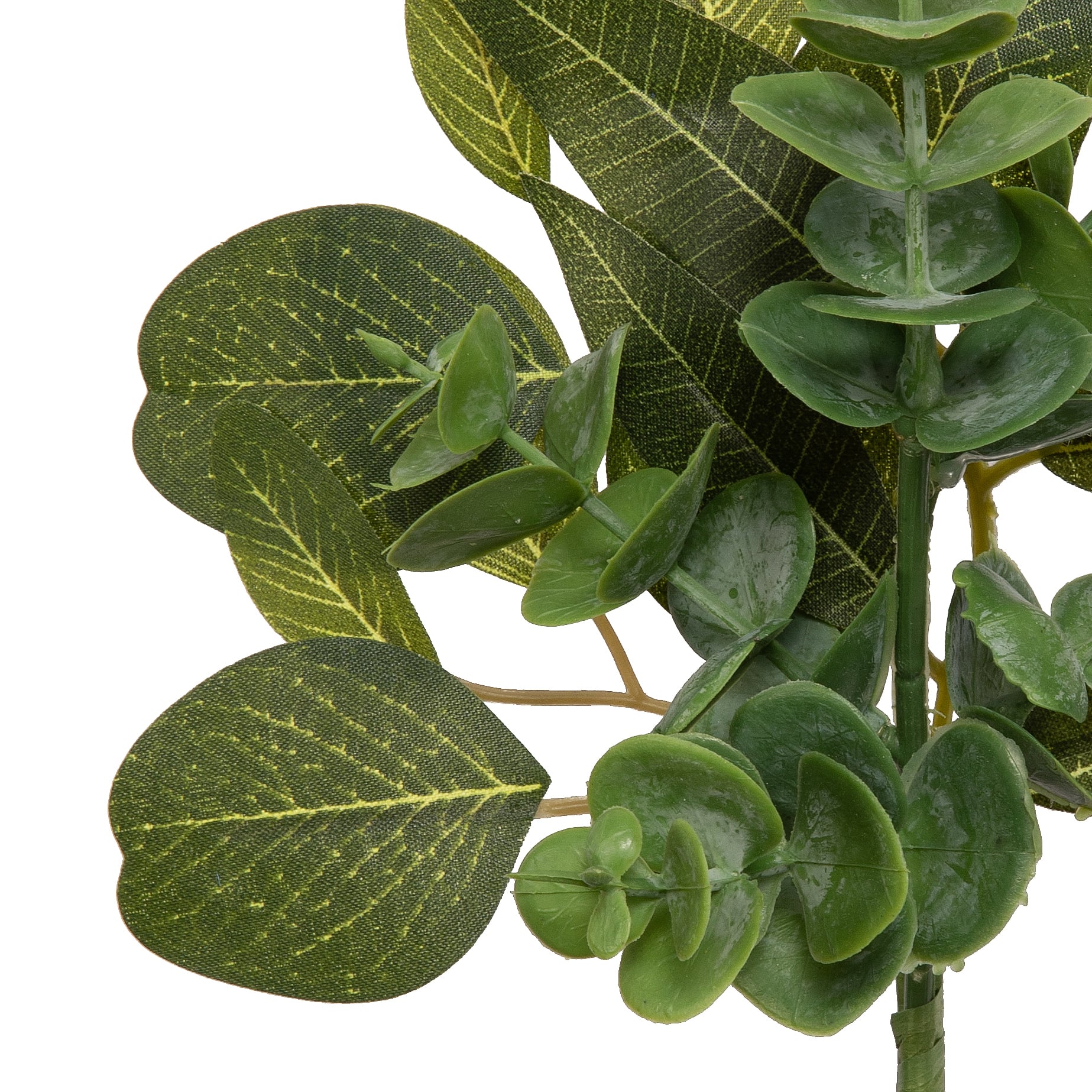 11" Green Eucalyptus Mix Pick by Ashland®