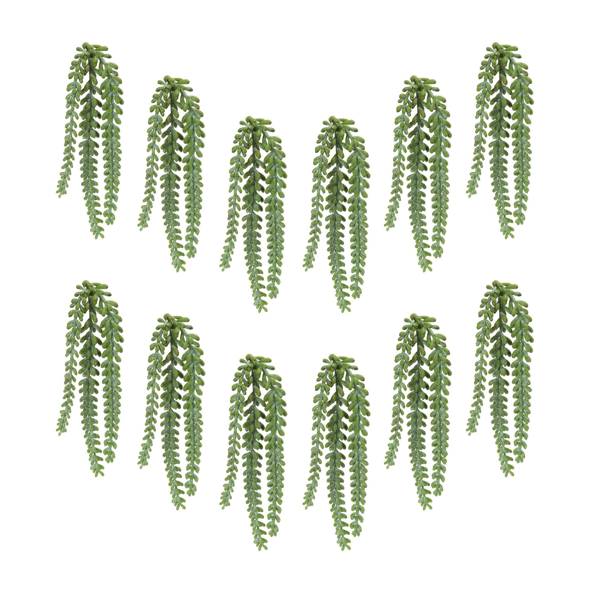 15" Hanging Sedum Succulent Sprays, 12ct.