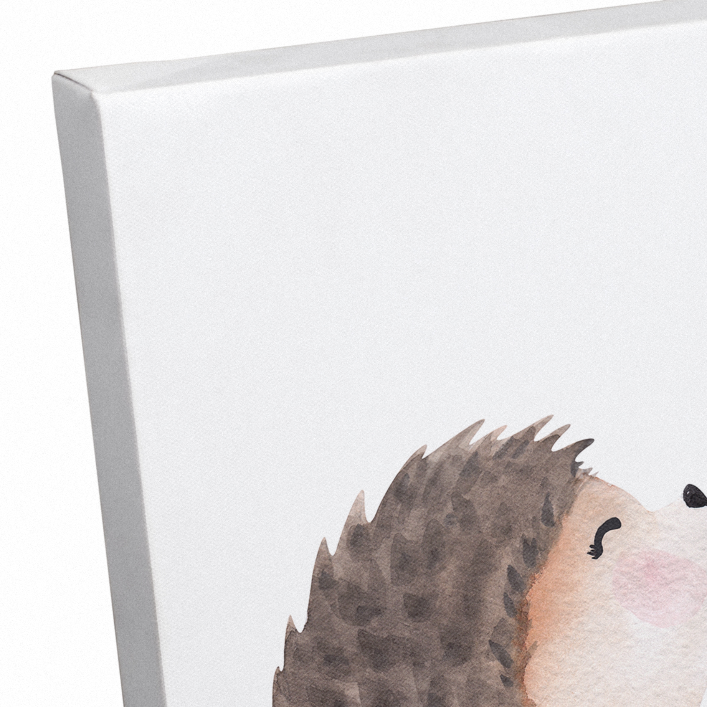 Hedgehog Heart Bubbles Canvas Wall Art