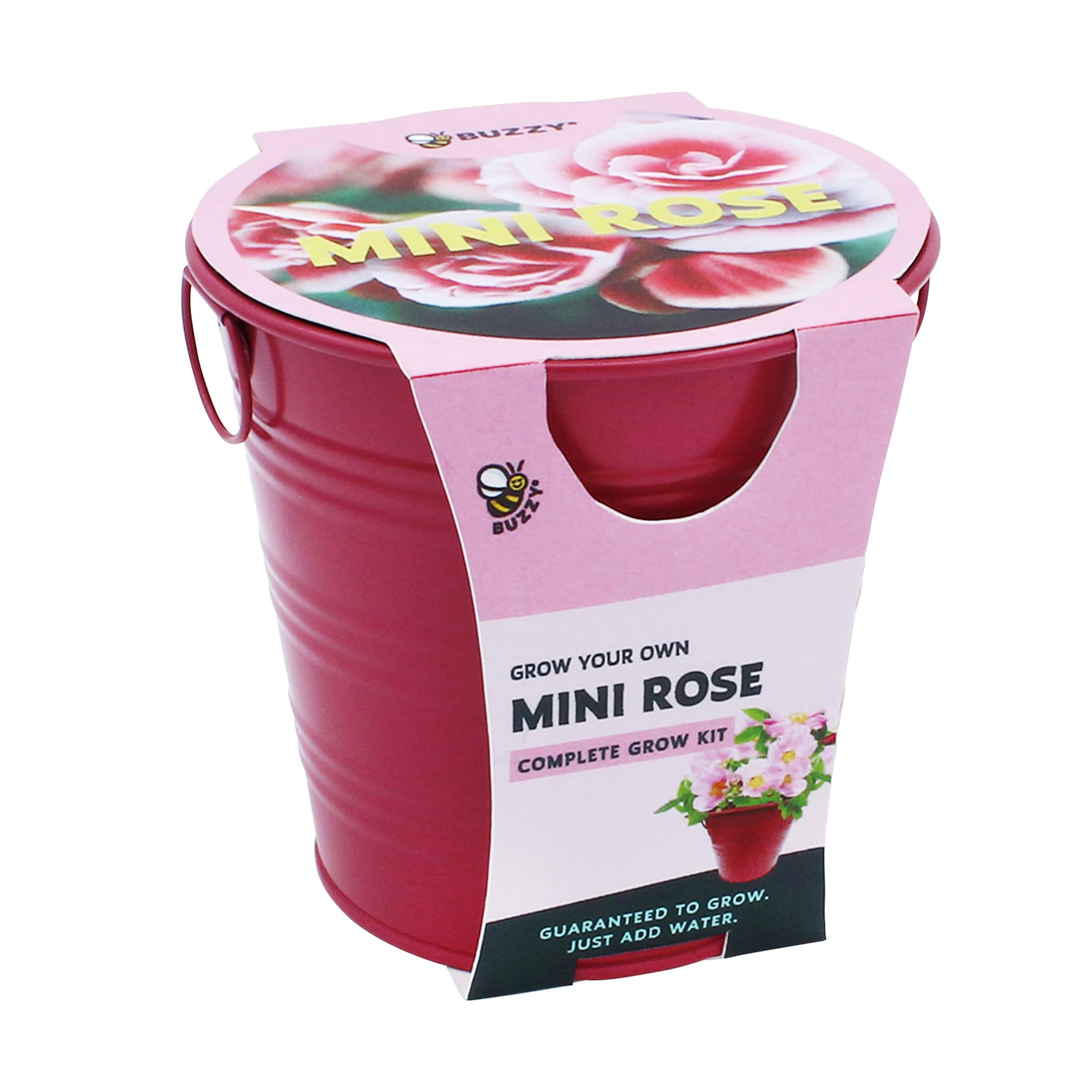 Buzzy® Mini Rose Pail Complete Grow Kit