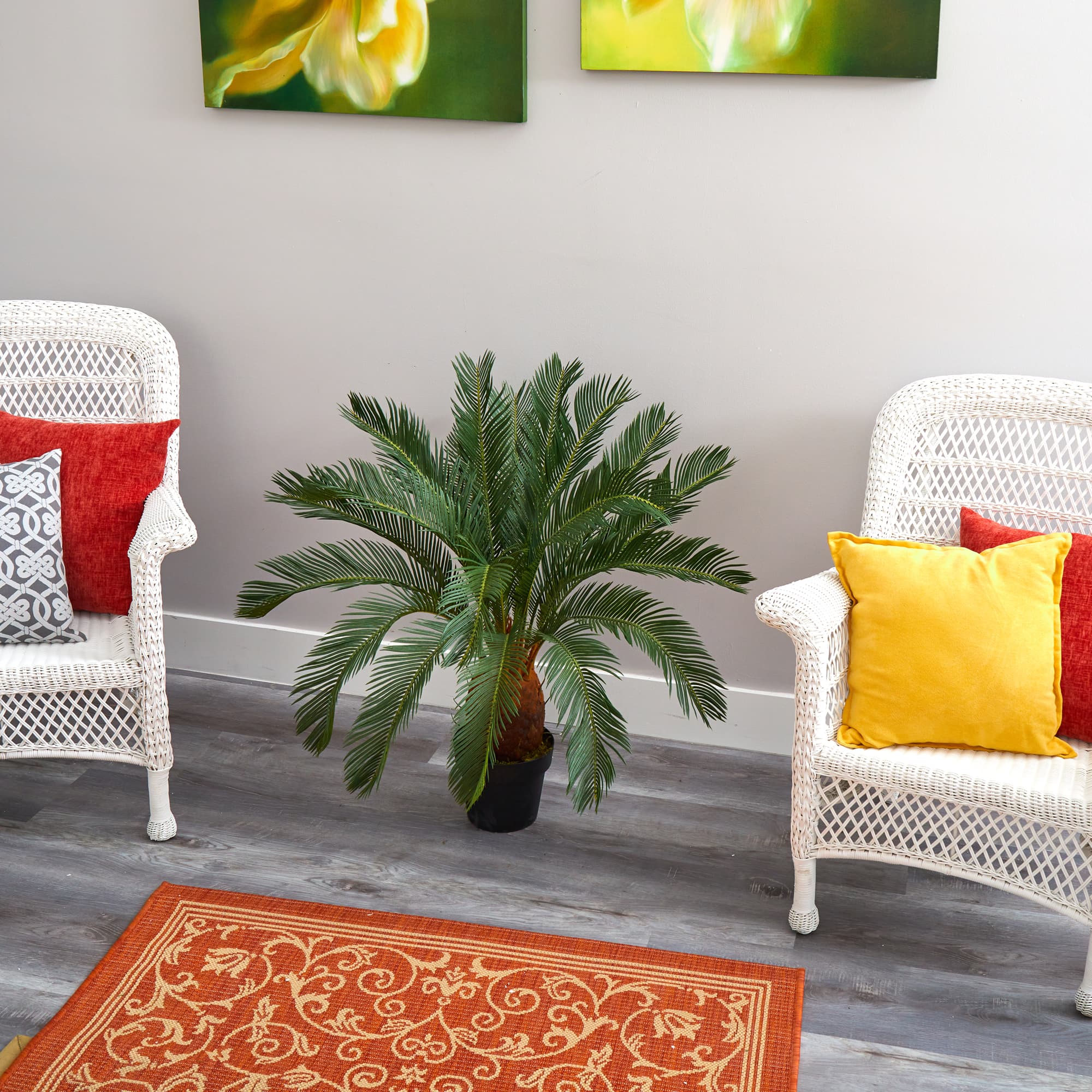 3ft. Potted Cycas Tree