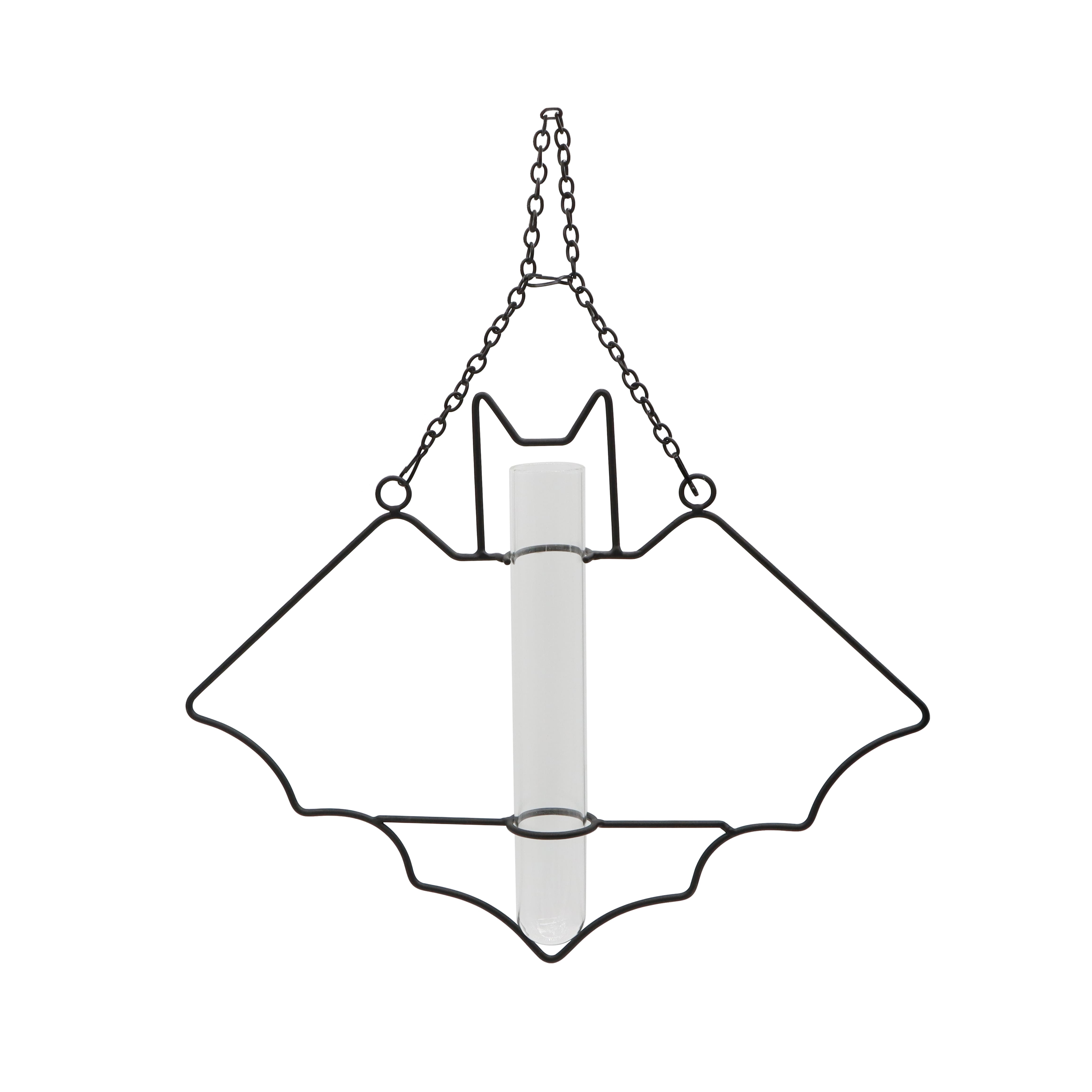 Hanging Bat Frame with Test Tube by Ashland®