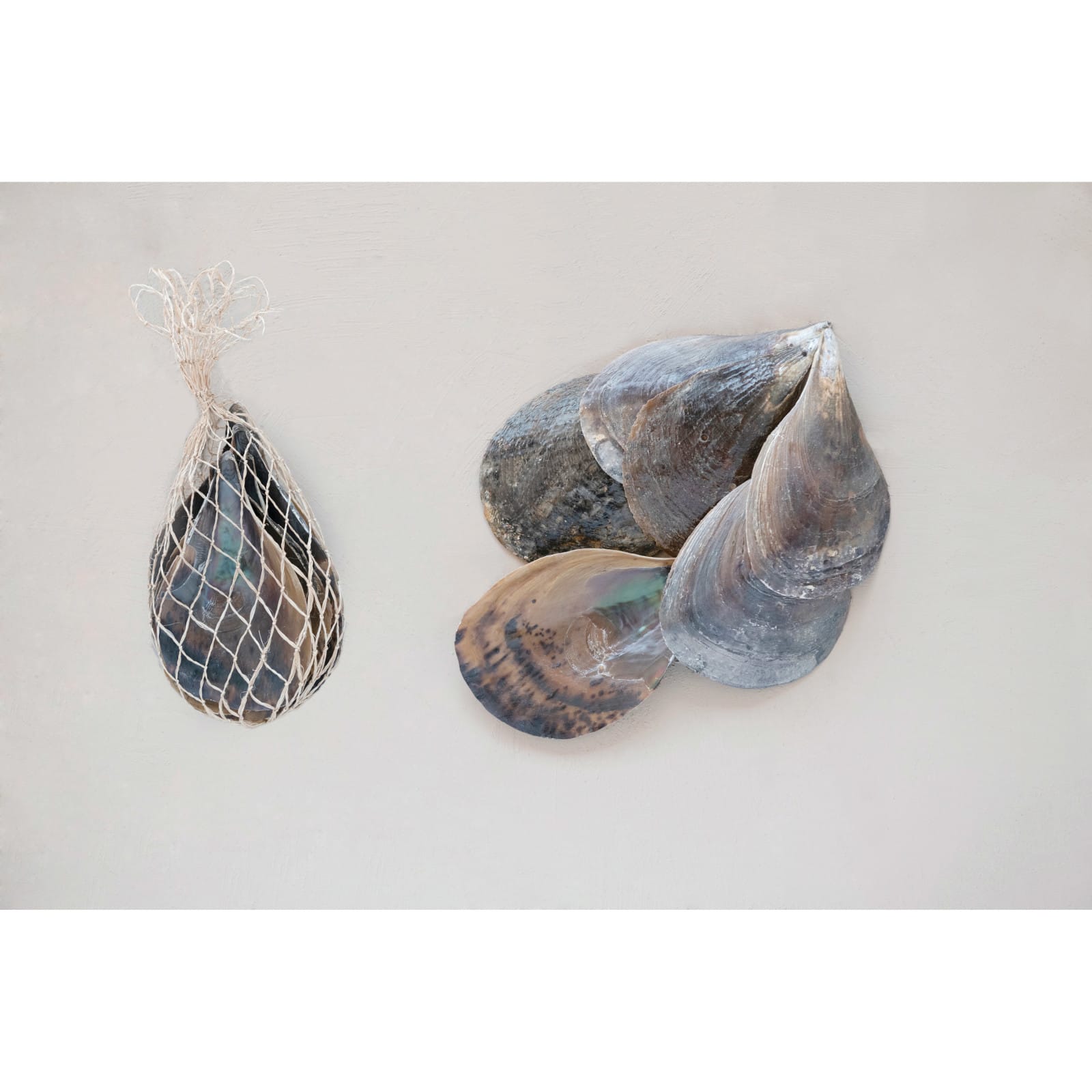 Hello Honey® Pen Clam Shells in Bag