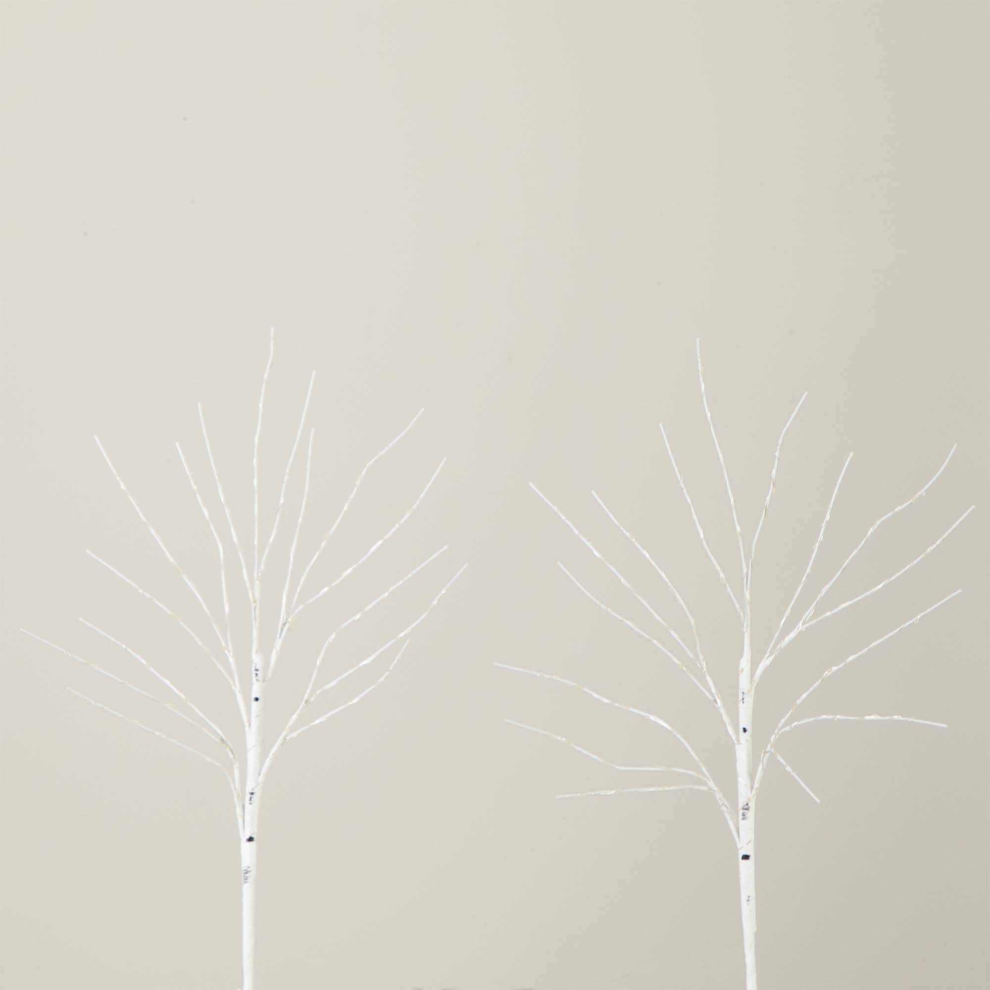 2 Pack 24in. Pre-Lit Artificial White Birch Branches, Warm White LED Lights