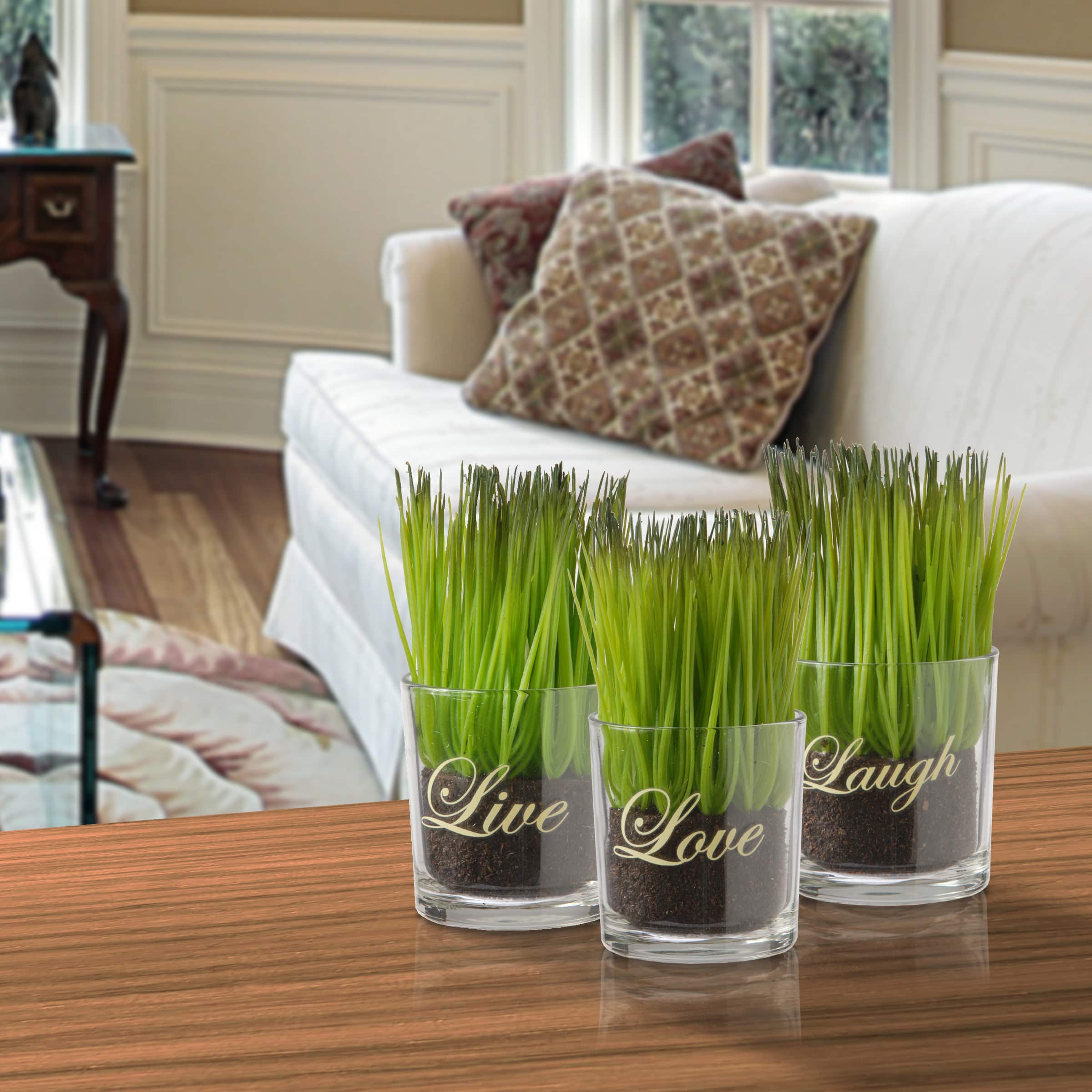 3-Piece Round Sprout-Filled Glass Assortment