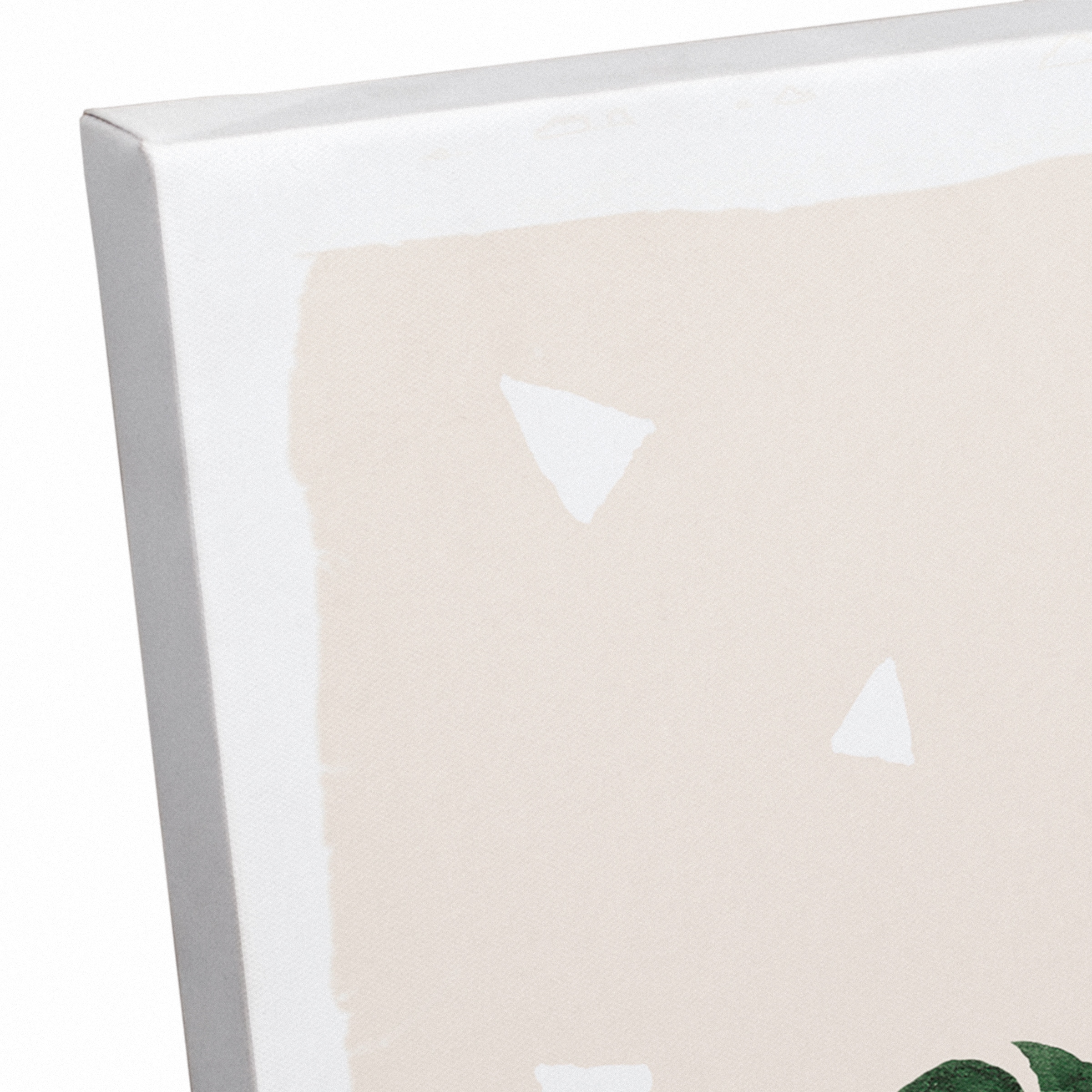 Designs Direct Monstera Triangle Pattern Canvas Wall Art