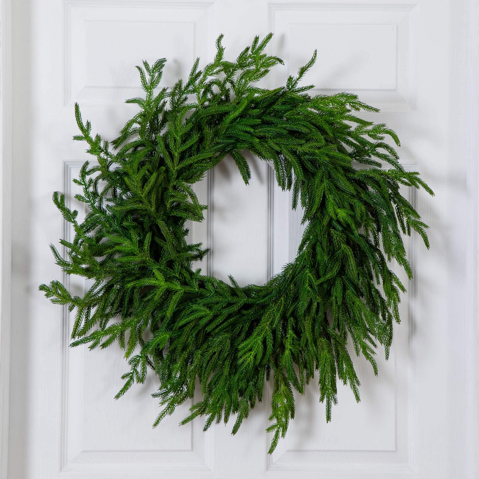24in. Artificial Real Touch Norfolk Island Pine Wreath with Natural Look