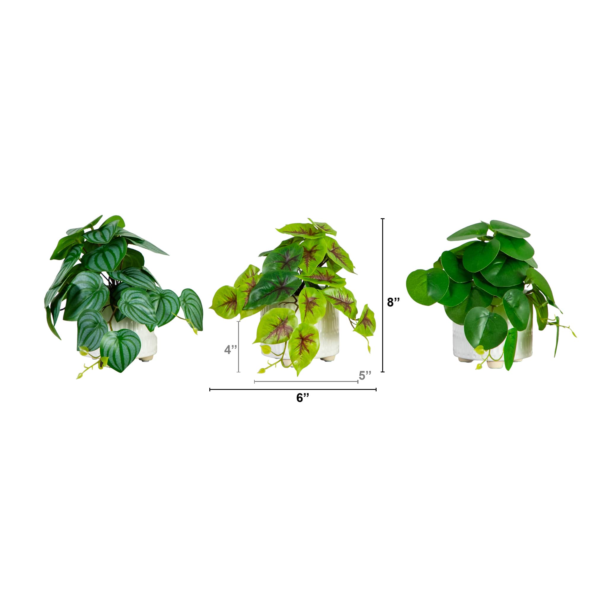 8" Mixed Greenery in Ceramic Planters Set