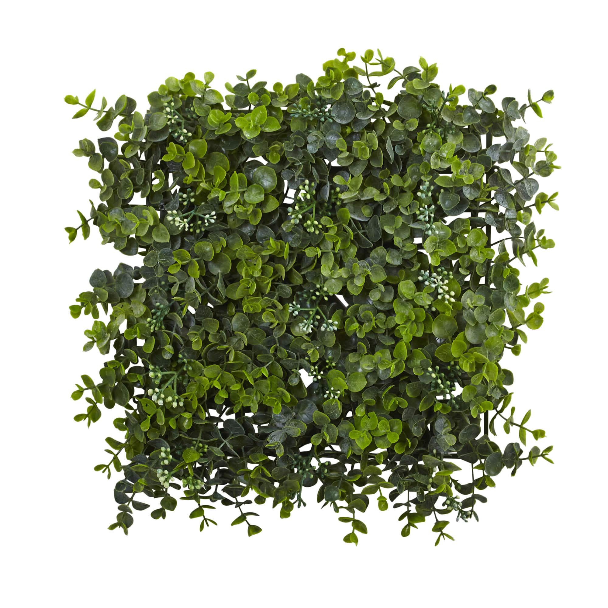 Eucalyptus Mat Set