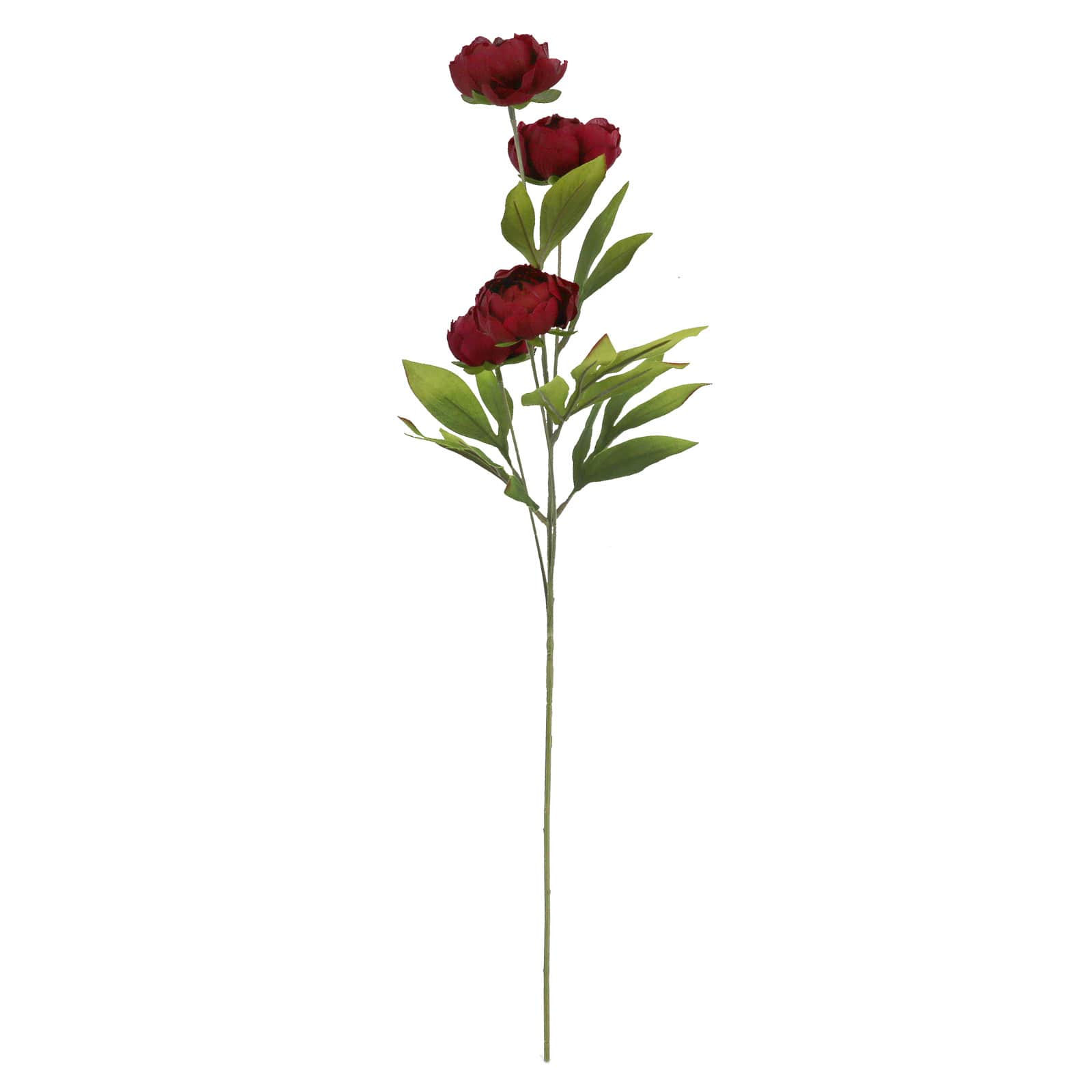 28" Burgundy Peony Stem by Ashland®