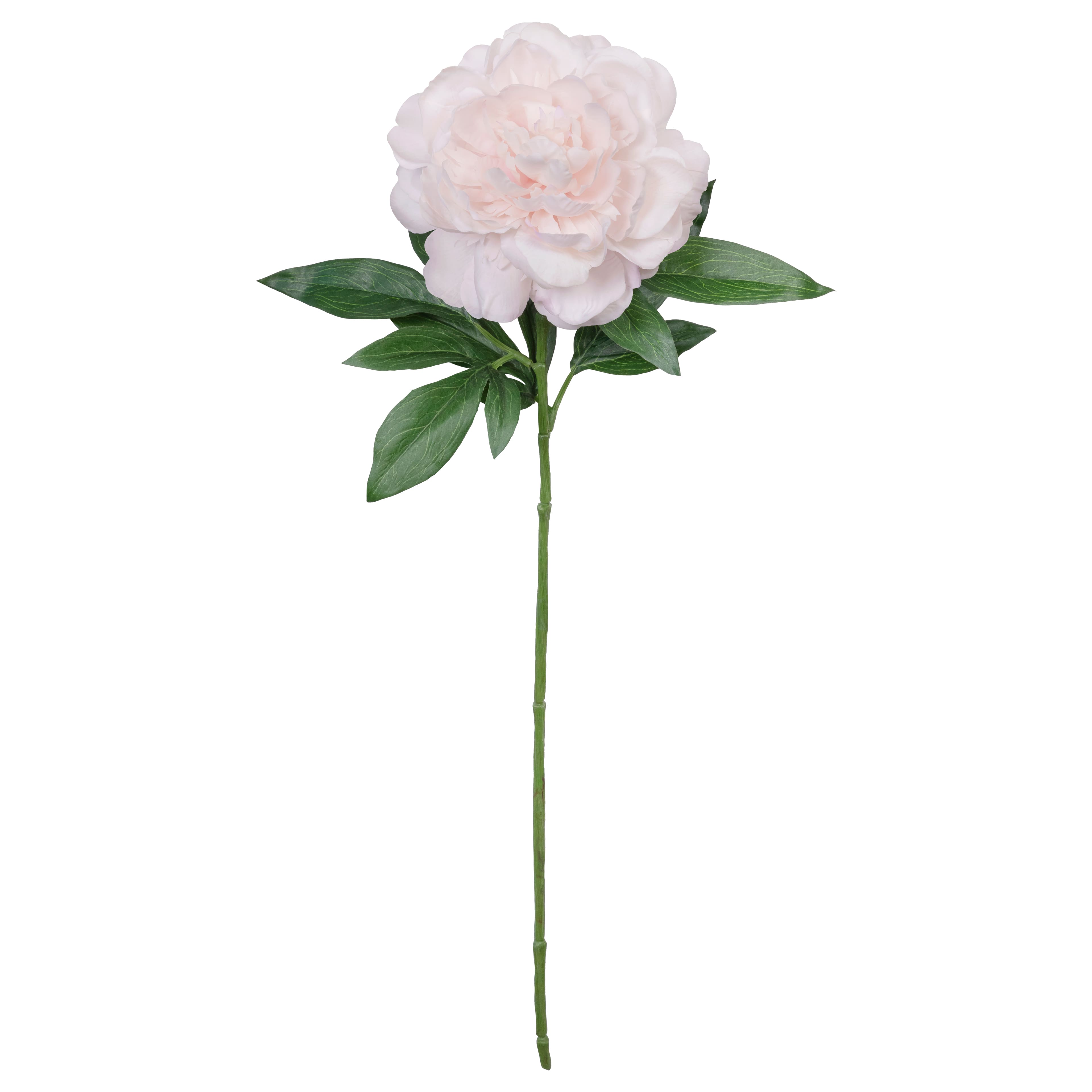 25.5" Peony Real Touch Stem by Ashland®