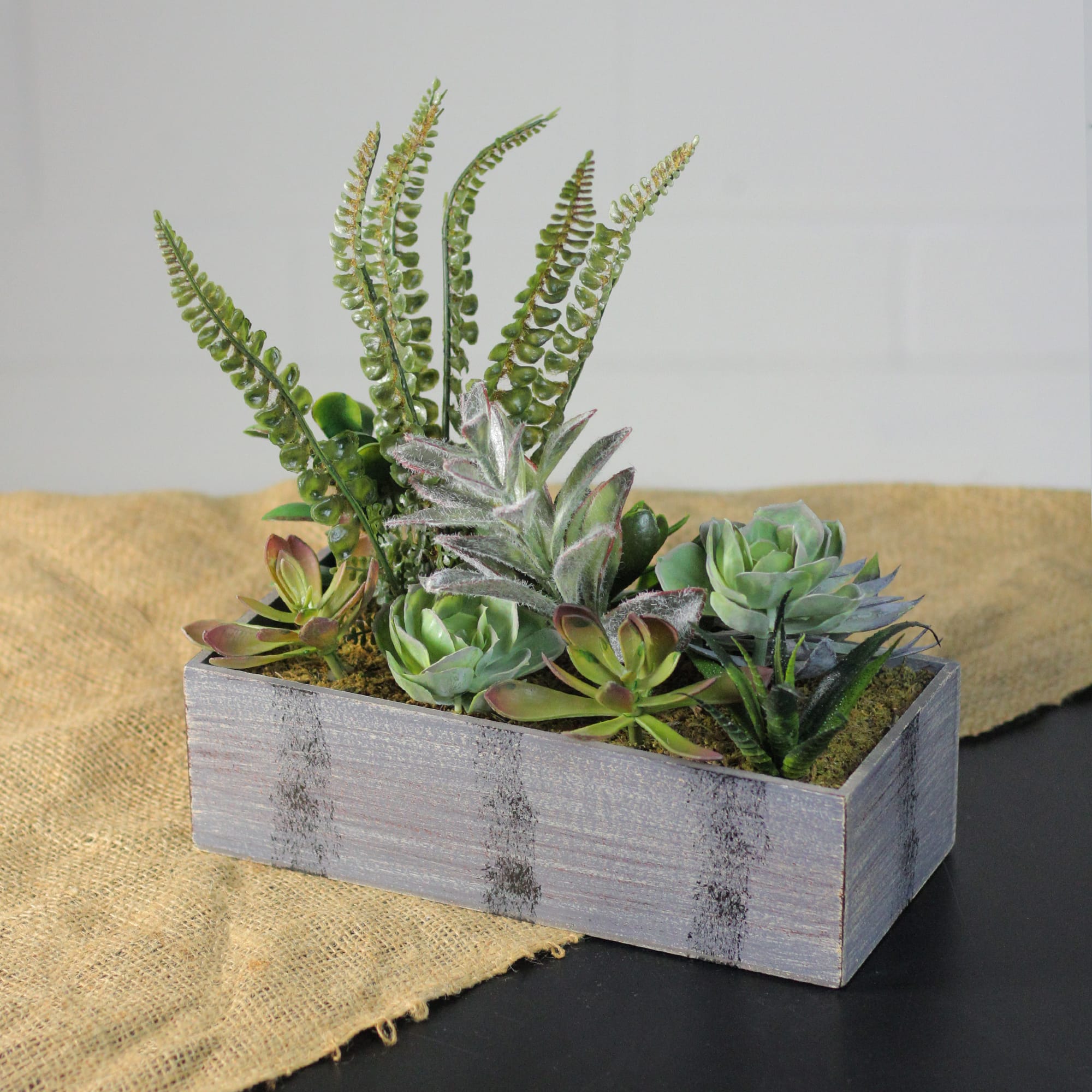 11.75" Mixed Succulent Plants in Rectangular Planter
