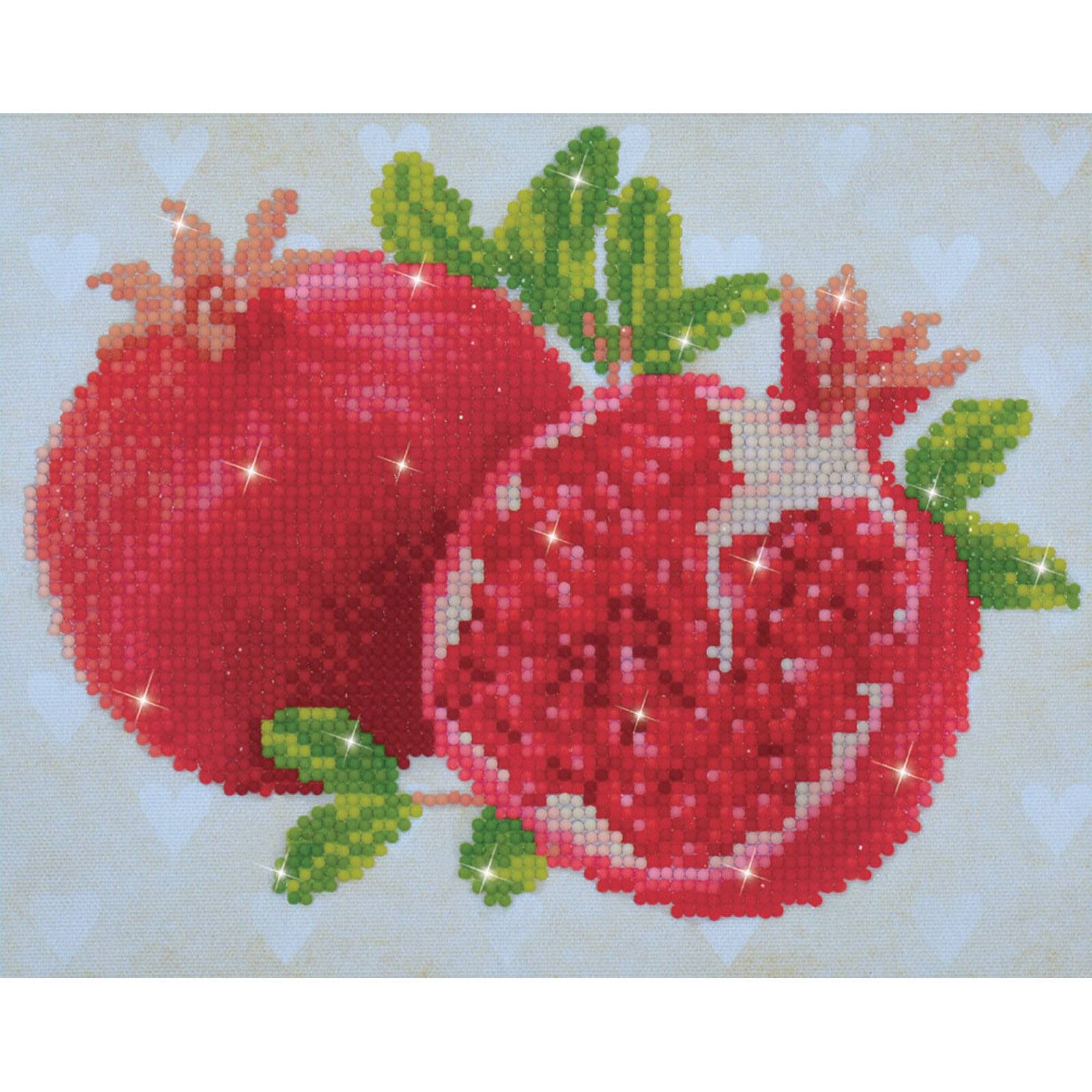 Diamond Dotz® Good Fortune Pomegranate Diamond Painting Kit