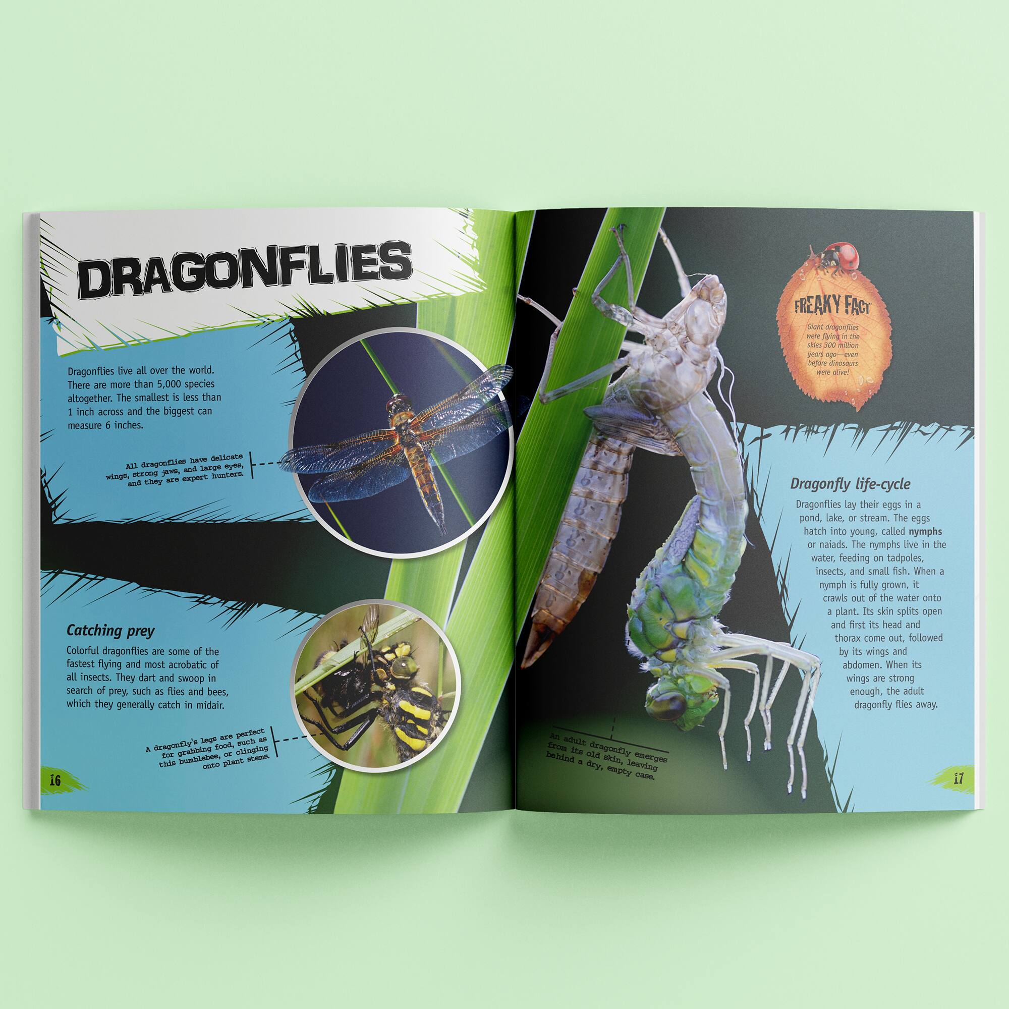 Incredible But True: Bugs & Insects