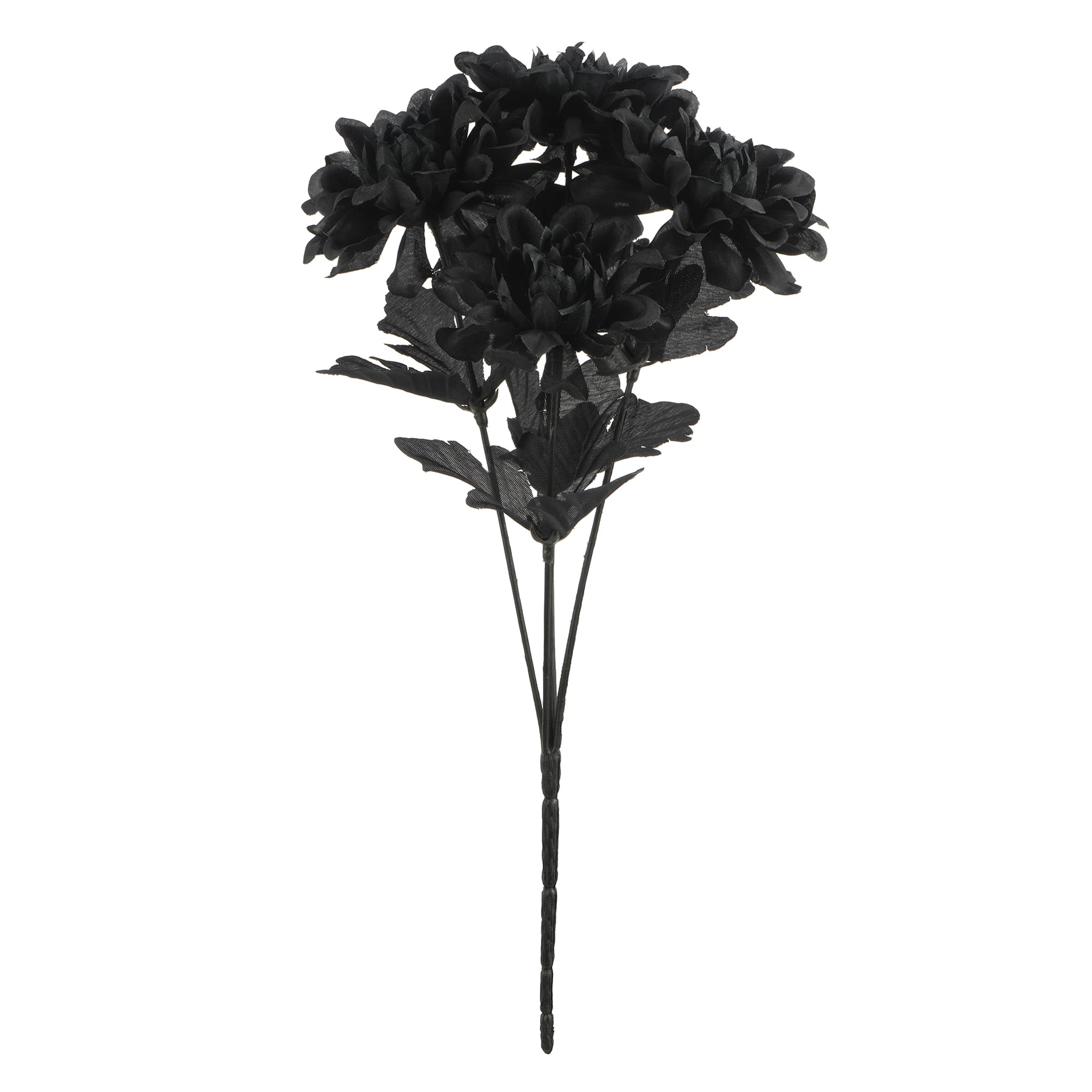 12" Black Dahlia Bush by Ashland®