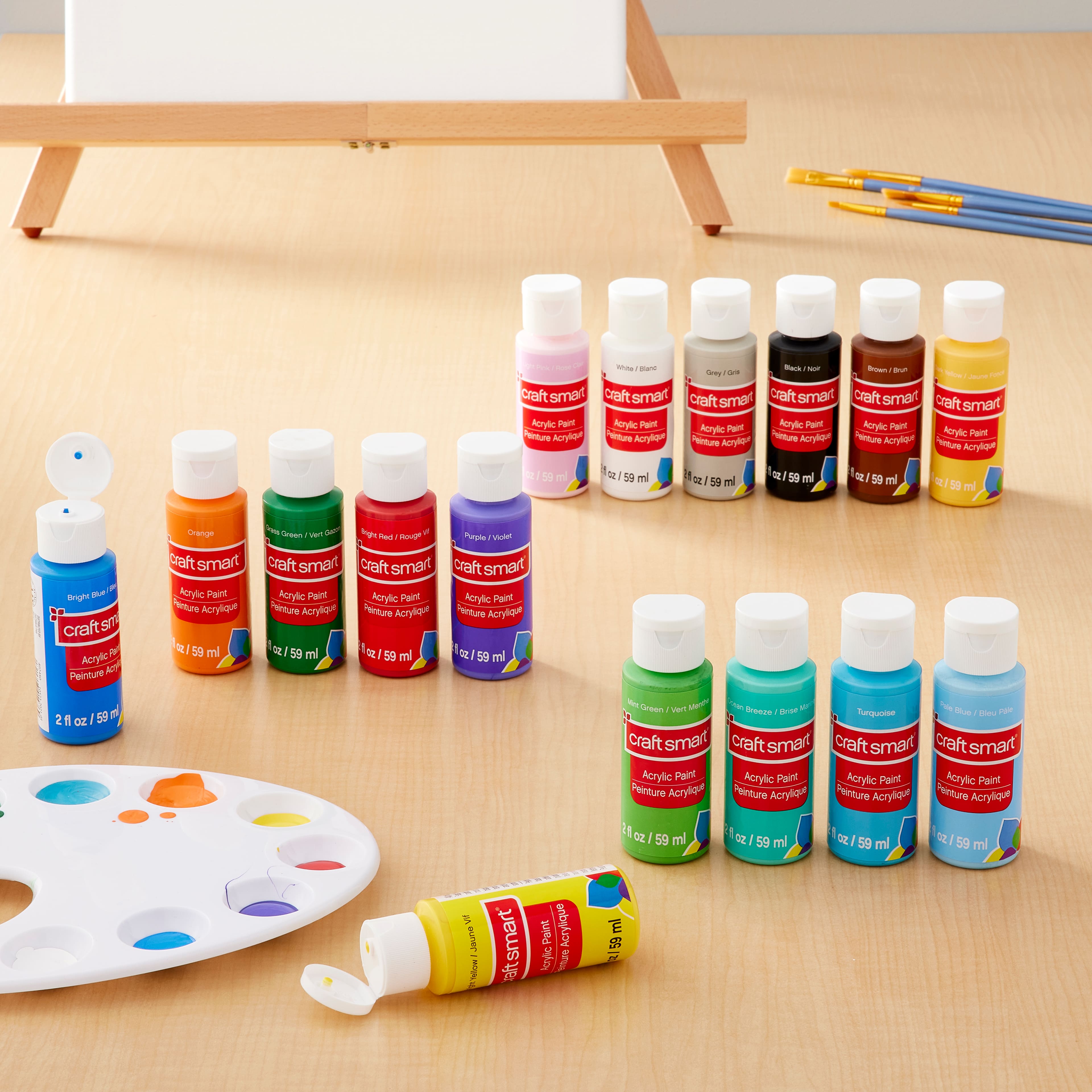 16 Colour Matte Acrylic Paint Value Pack by Craft Smart®