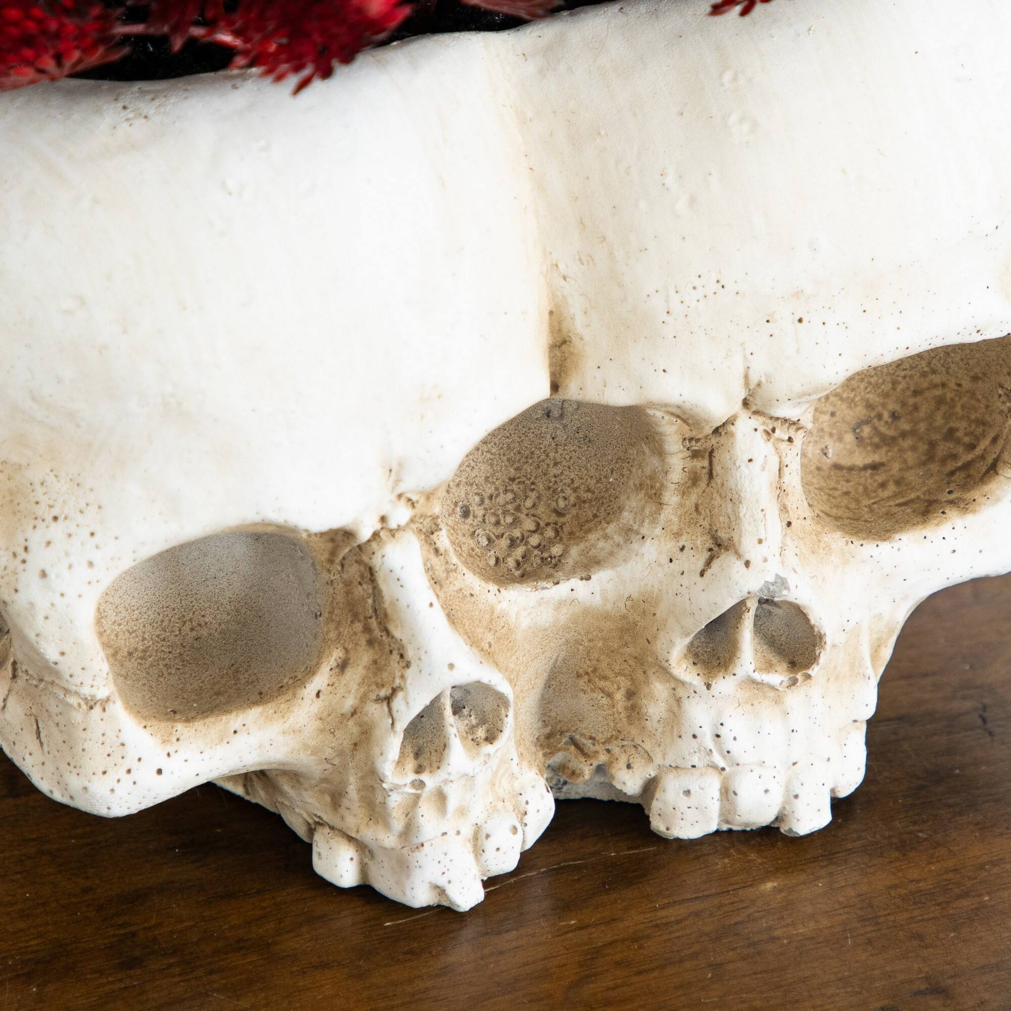 6" Artificial Halloween Succulent Plant in Double Skull Planter