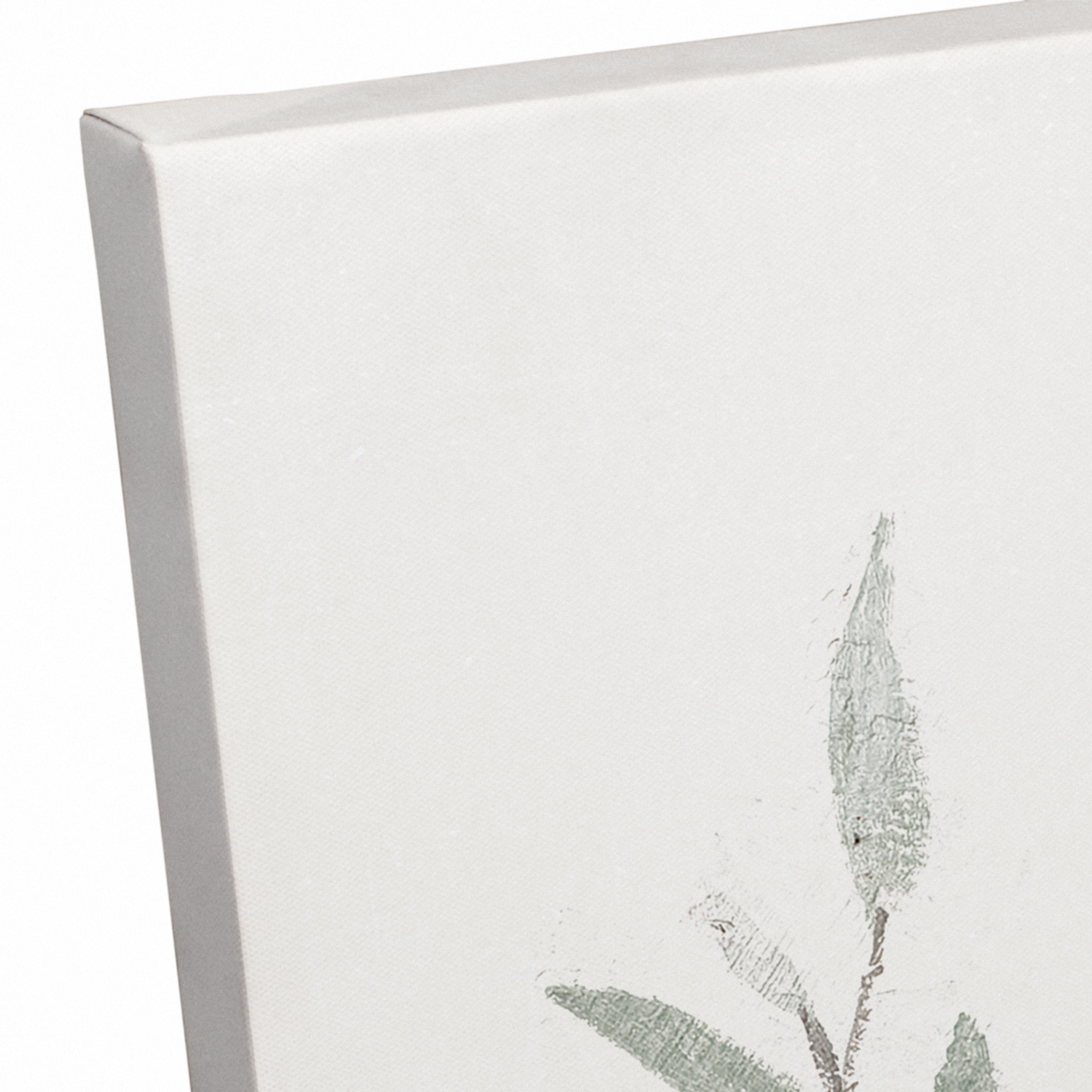 Greenery In Mason Jars 30" x 20" Canvas Wall Art