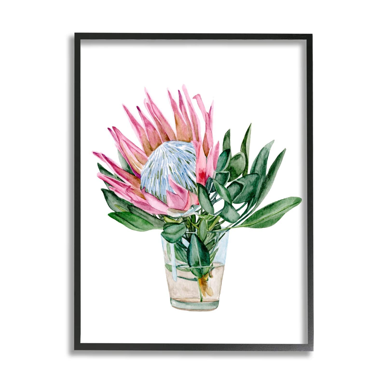 Stupell Industries Blushing Protea Flower Glass Watercolor Flower Still Life Framed Wall Art