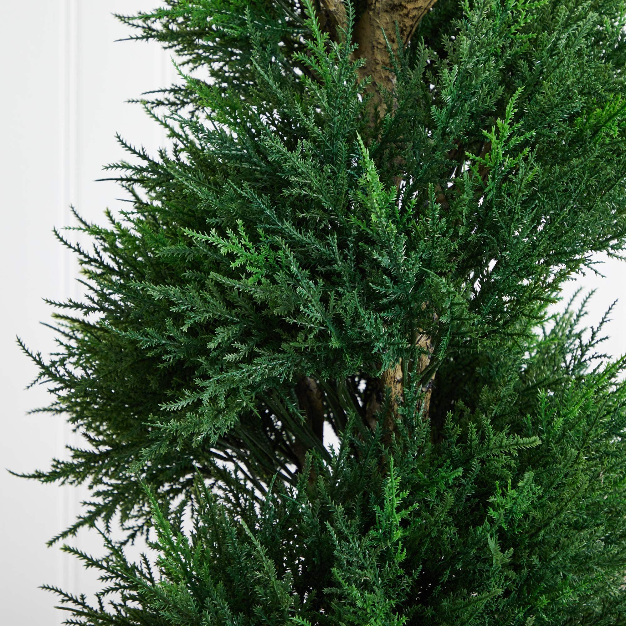 6ft. Spiral Cypress Tree in Cylinder Planter