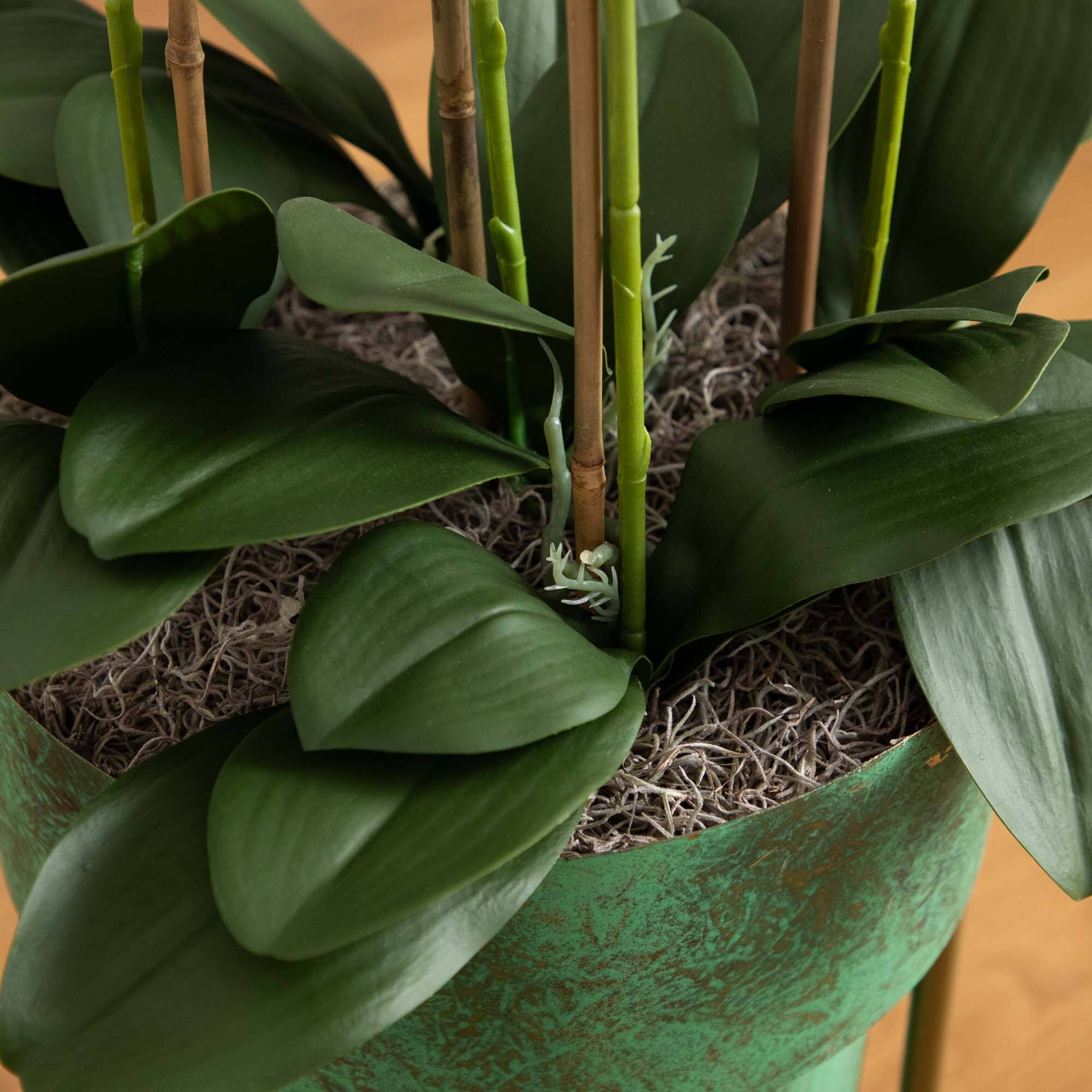3.5ft. White Orchid Arrangement in Patina Metal Planter with Stand
