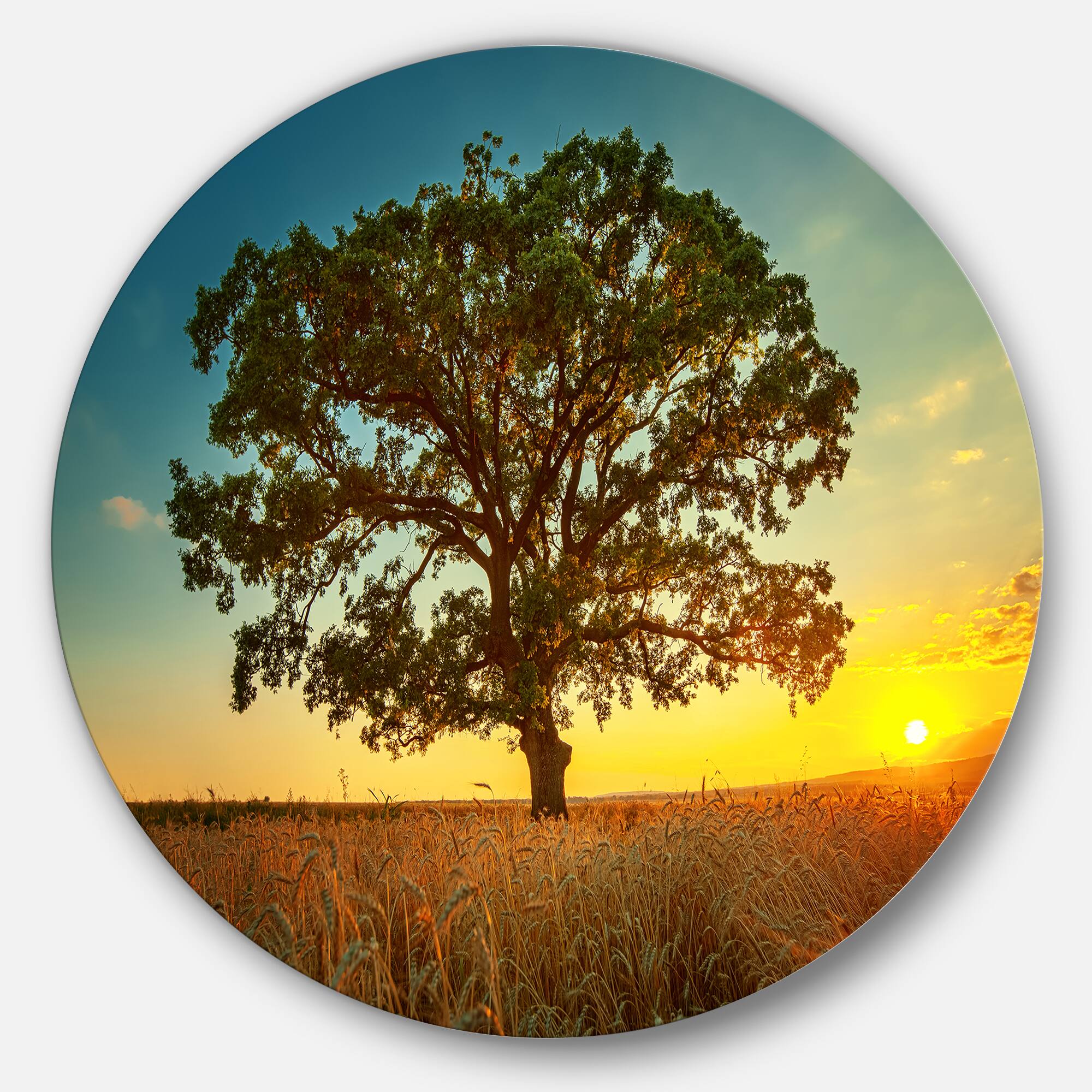 Designart - Big Green Tree in Summer Field' Trees Metal Circle Wall Art