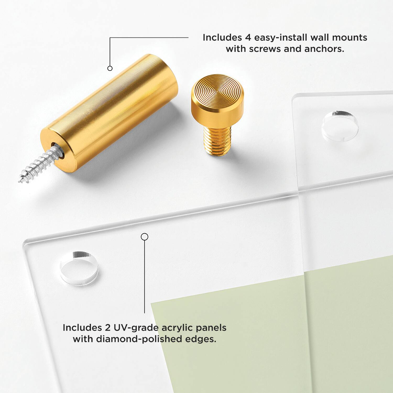 Wexel Art Double Panel Clear Acrylic Floating Wall Frame with Gold Hardware