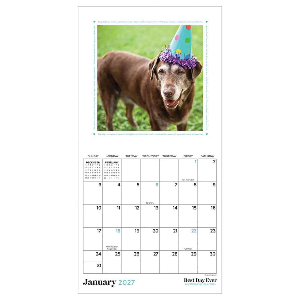 2027 Best Day Ever: Dogs Mini Calendar