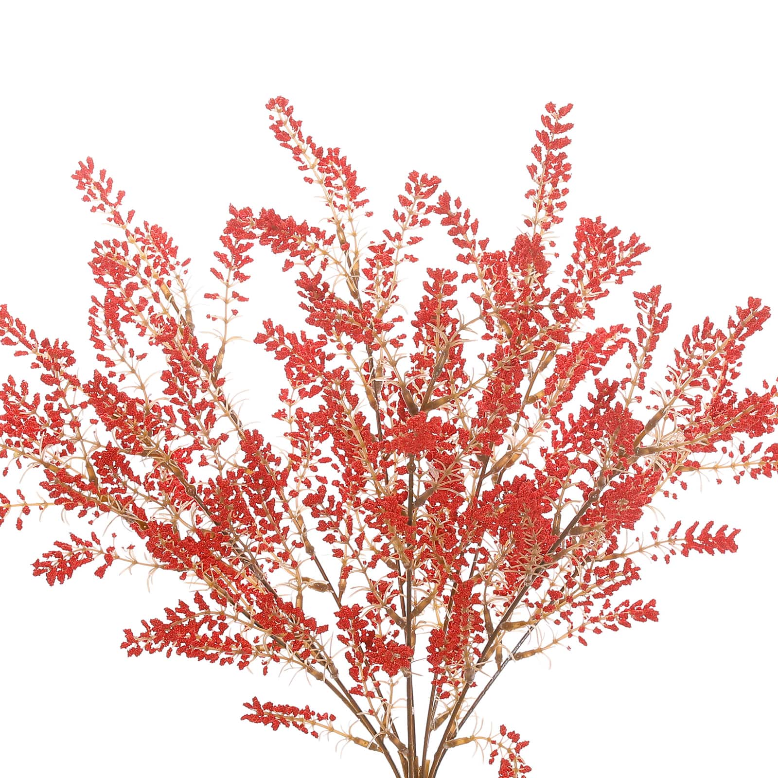 19" Berry Bush by Ashland