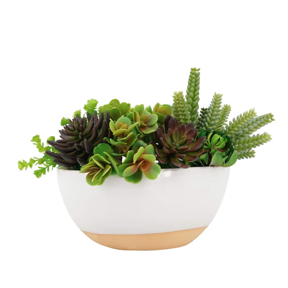 House of Silk Flowers 12" Artificial Succulent Arrangement in Two-Toned White & Terracotta Oval Ceramic Planter