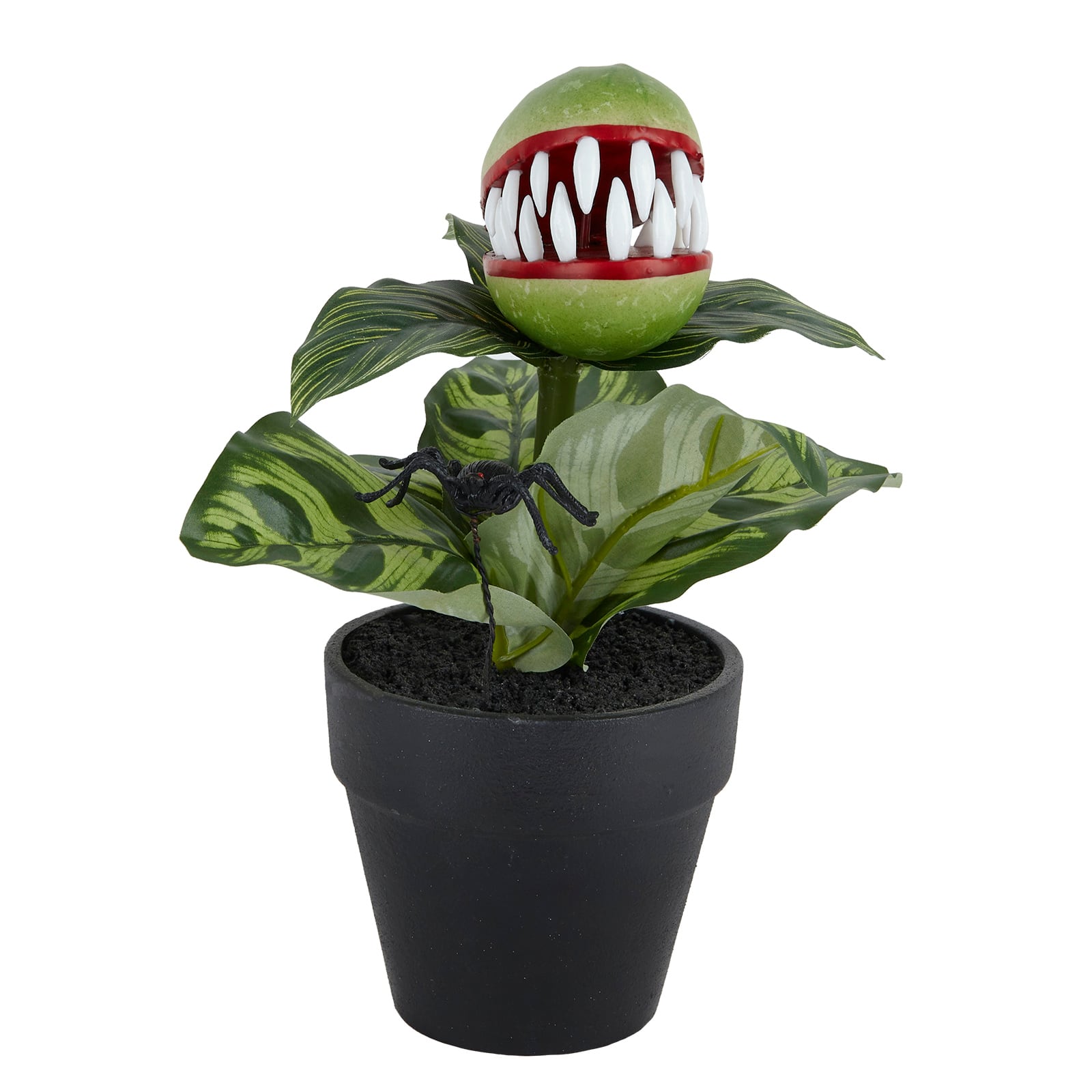 14" Potted Venus Flytrap & Spider by Ashland®