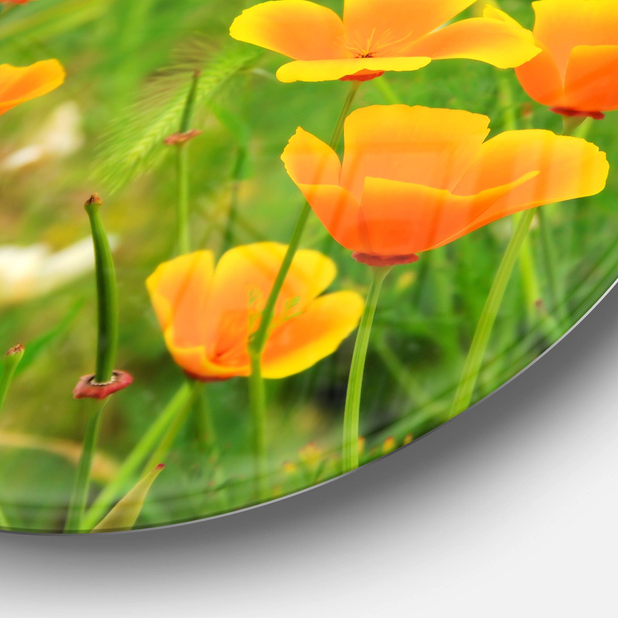 Designart - Bright Yellow Poppy Flowers' Floral Metal Circle Wall Art