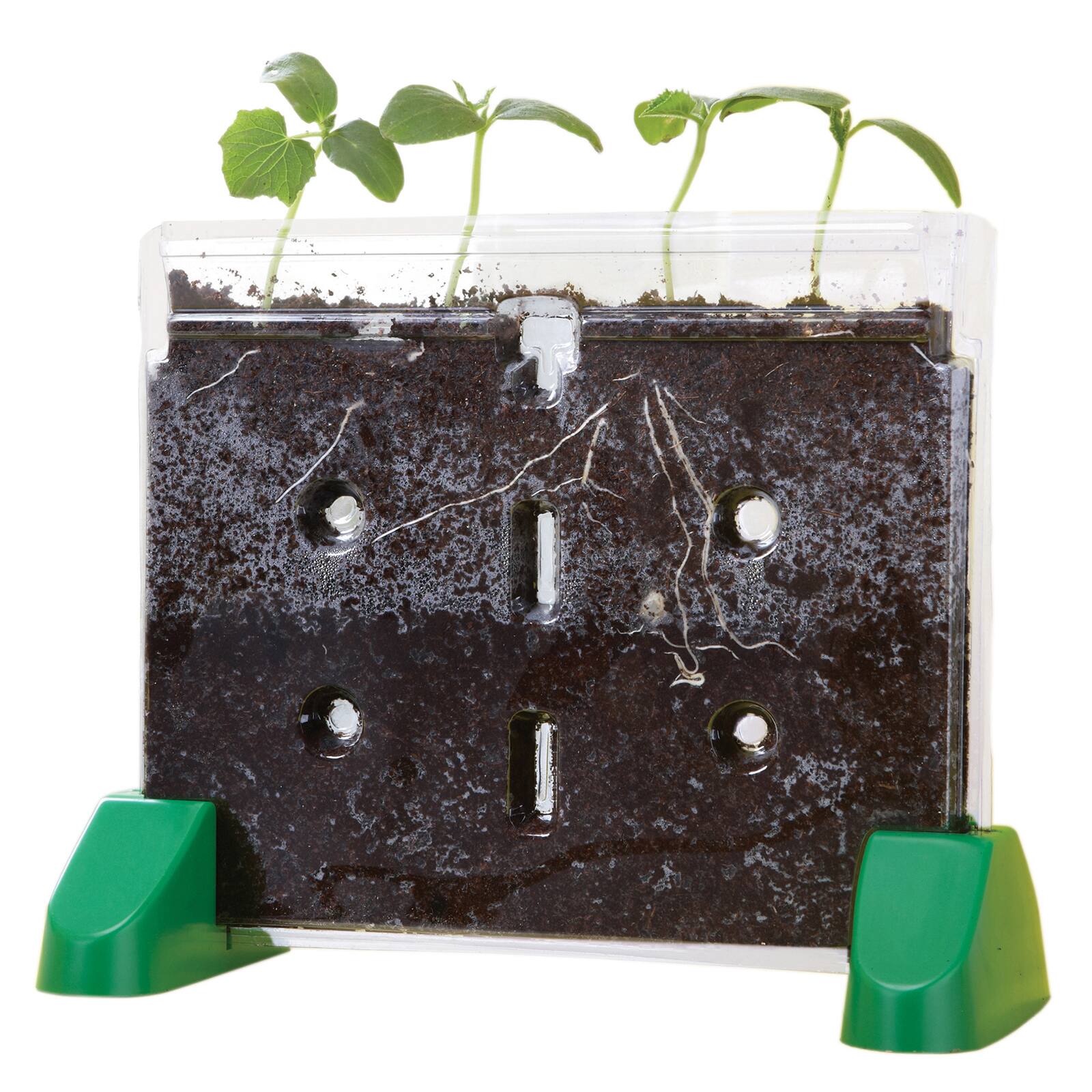 Sprout & Grow™ Window