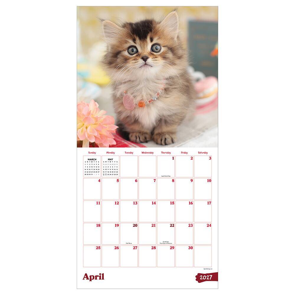 2027 Kittens Wall Calendar