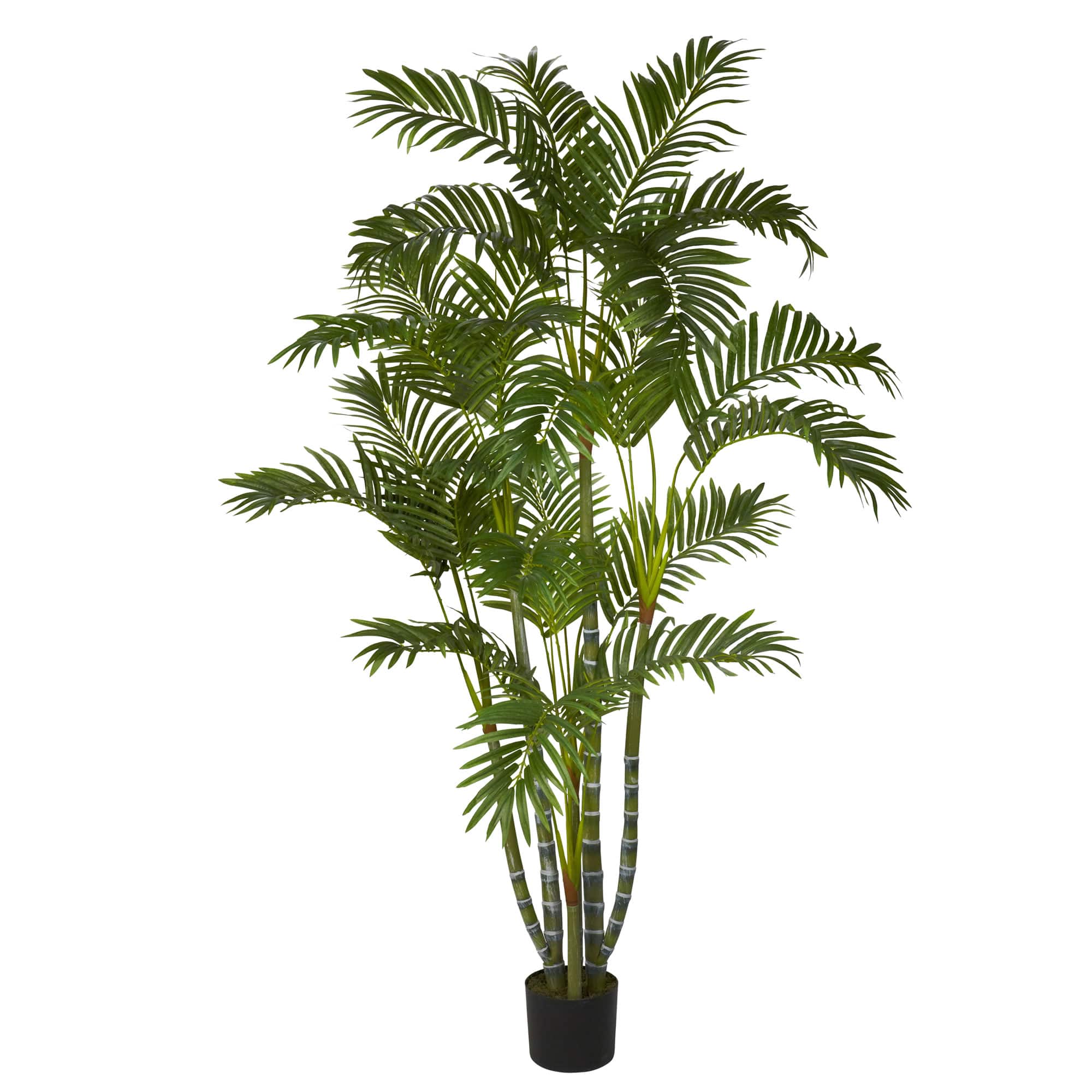 5ft. Potted Areca Palm Tree